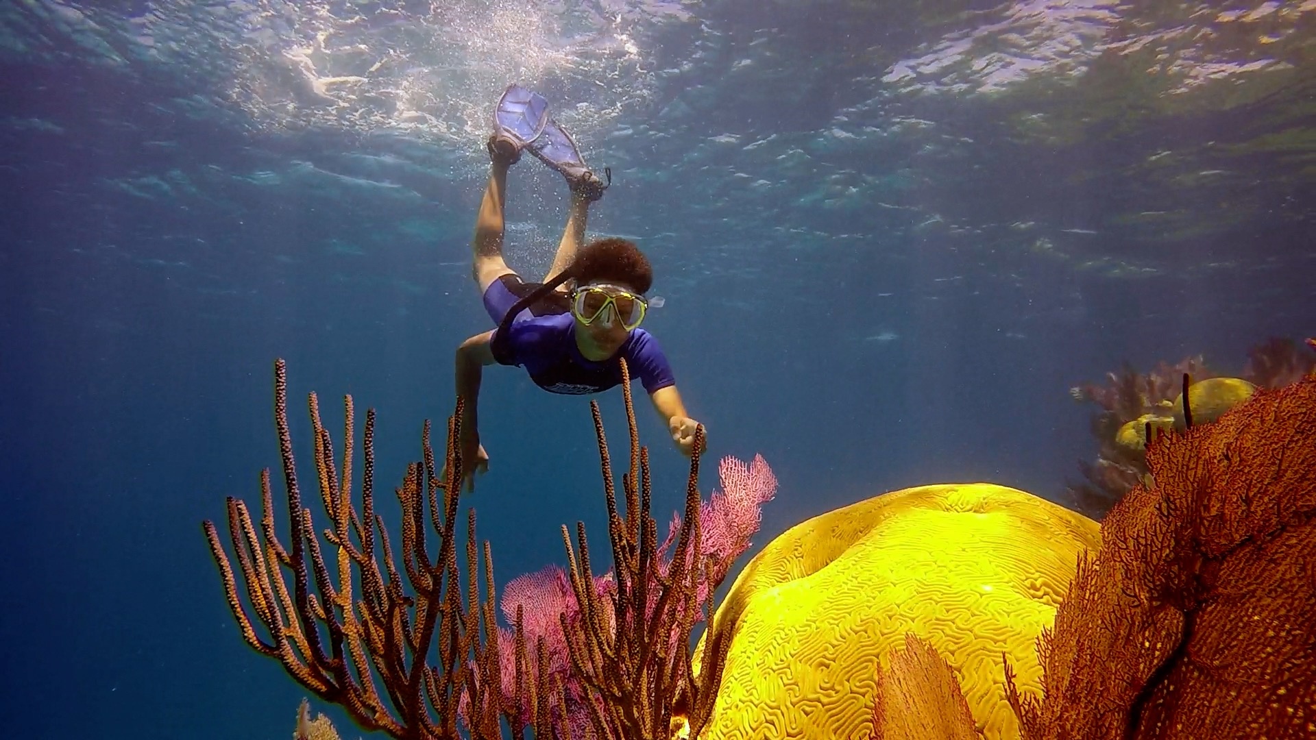 Freediving, Sports,Natural Born Freedivers,Shearwater Research, 1920x1080 Full HD Desktop
