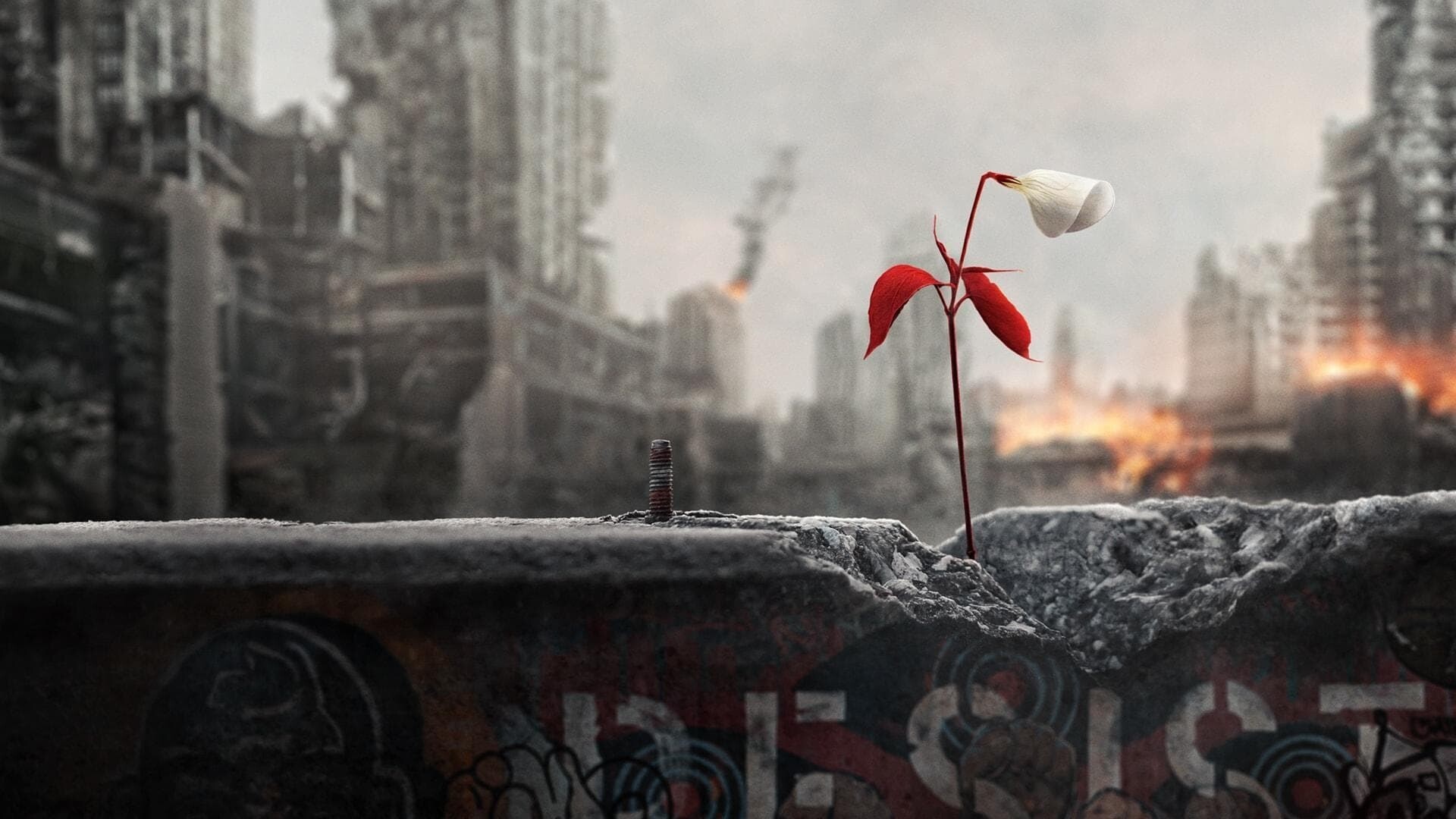 Republic of Gilead, The Handmaid's Tale Wallpaper, 1920x1080 Full HD Desktop