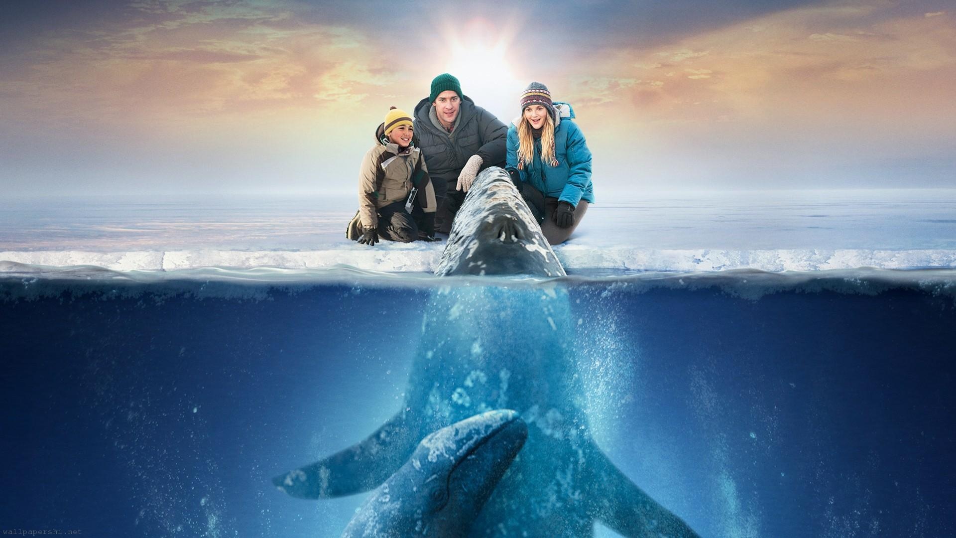 Big Miracle movie, HD wallpaper, Background image, Movies, 1920x1080 Full HD Desktop