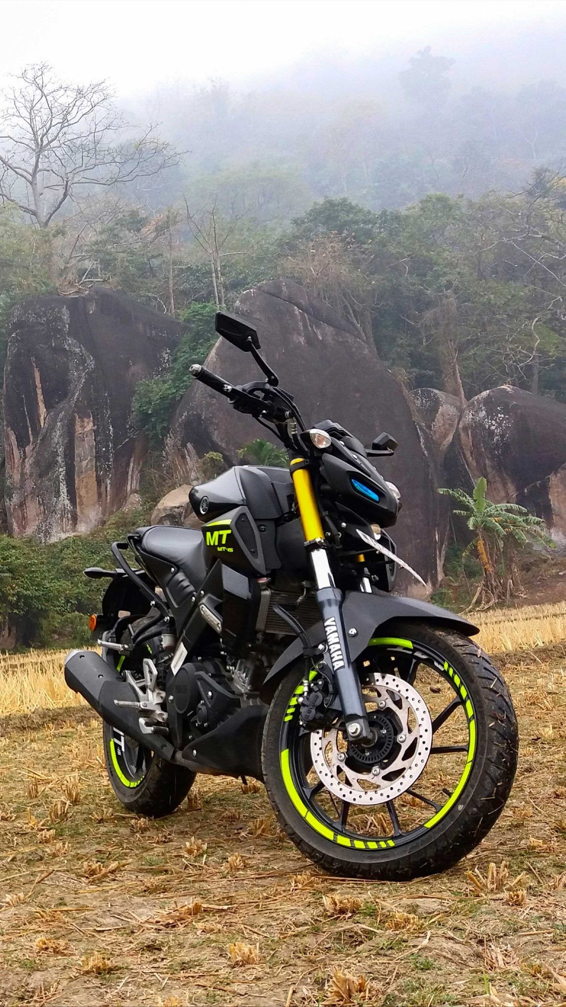 Yamaha MT-15, Winter fog, Ultra HD mobile wallpaper, MT 15, 1160x2050 HD Phone