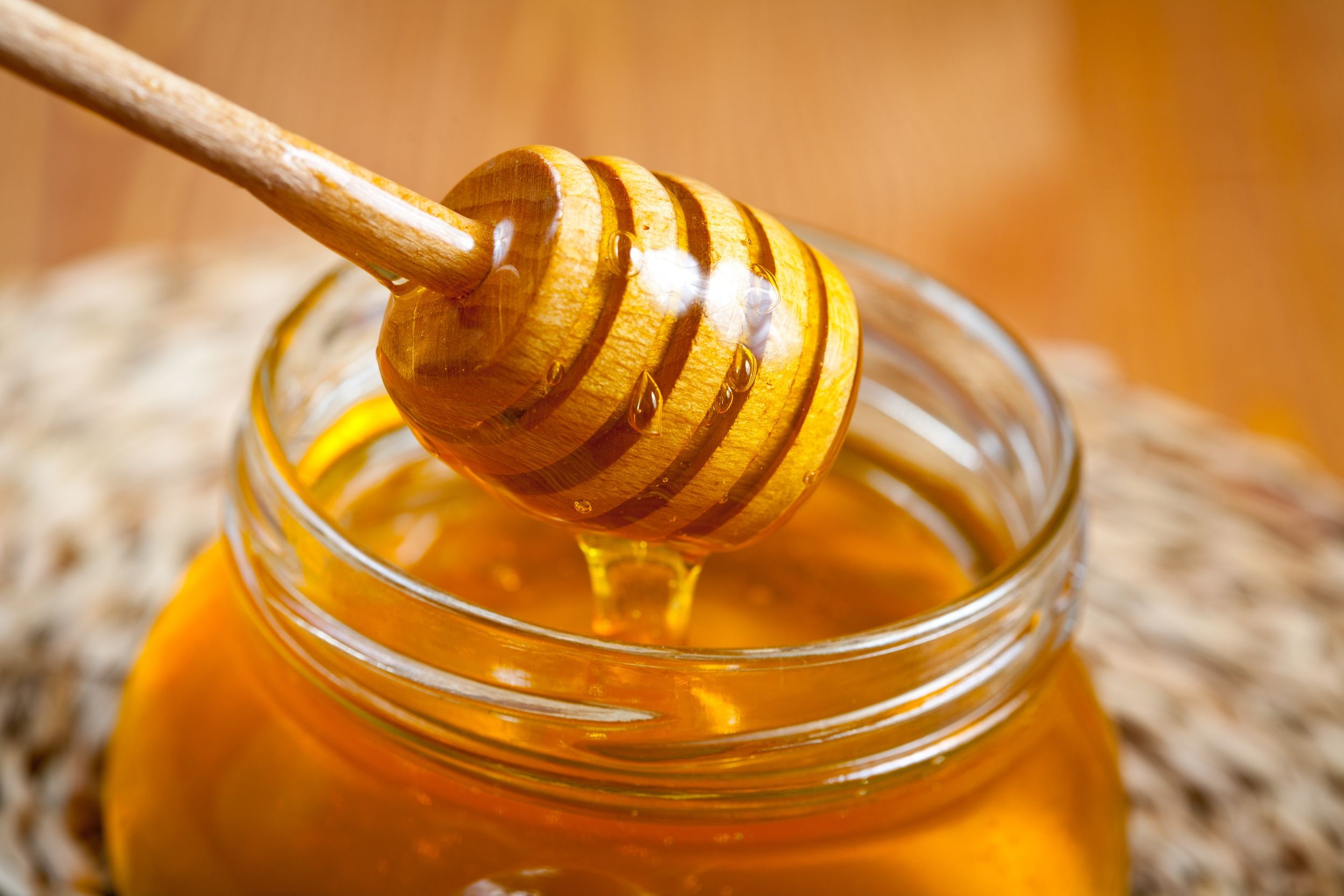 Honey dipper, Honey Wallpaper, 2500x1670 HD Desktop