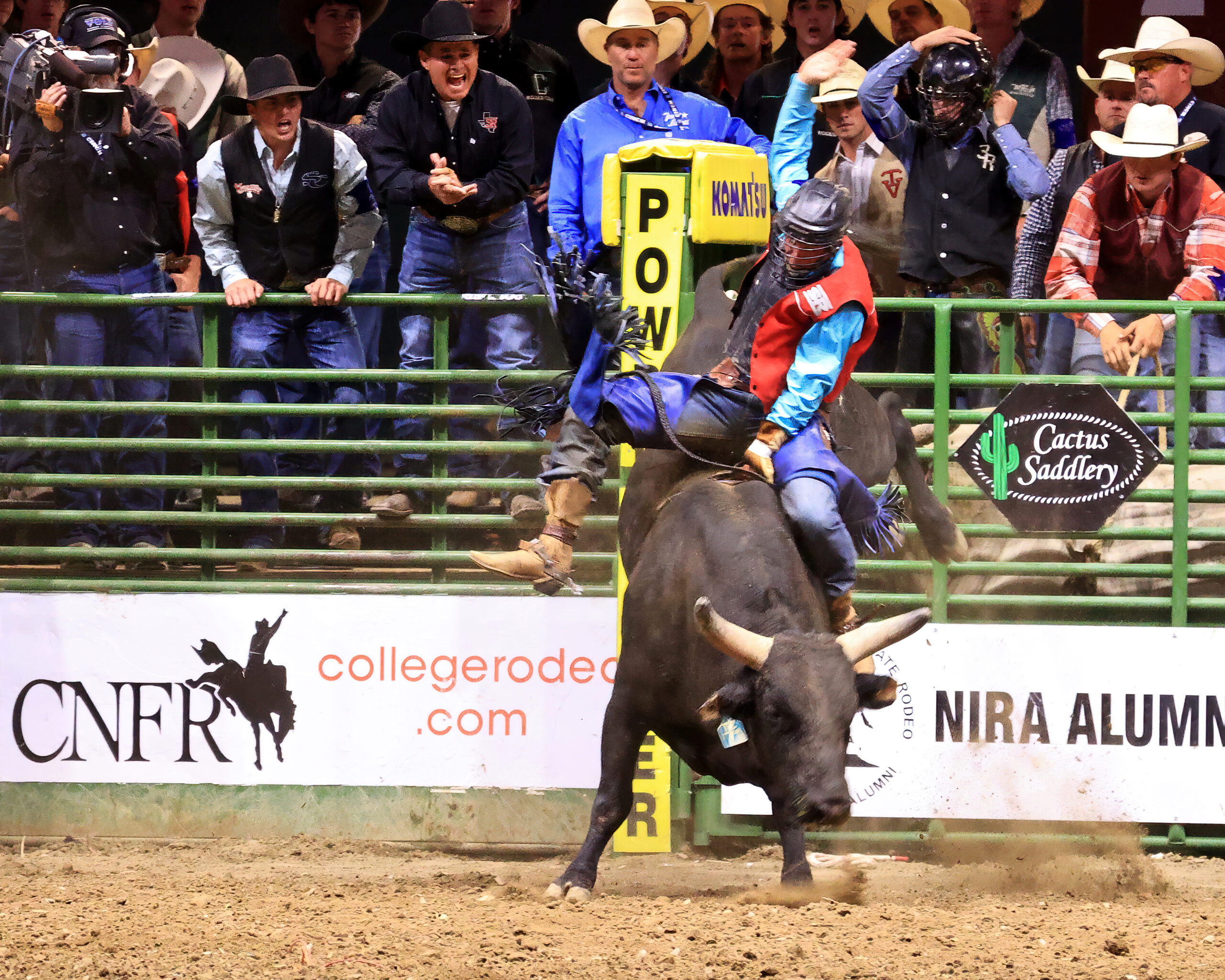 Bull riding champion, Sul Ross University success, Tristen Hutchings, Impressive skills, 2560x2050 HD Desktop