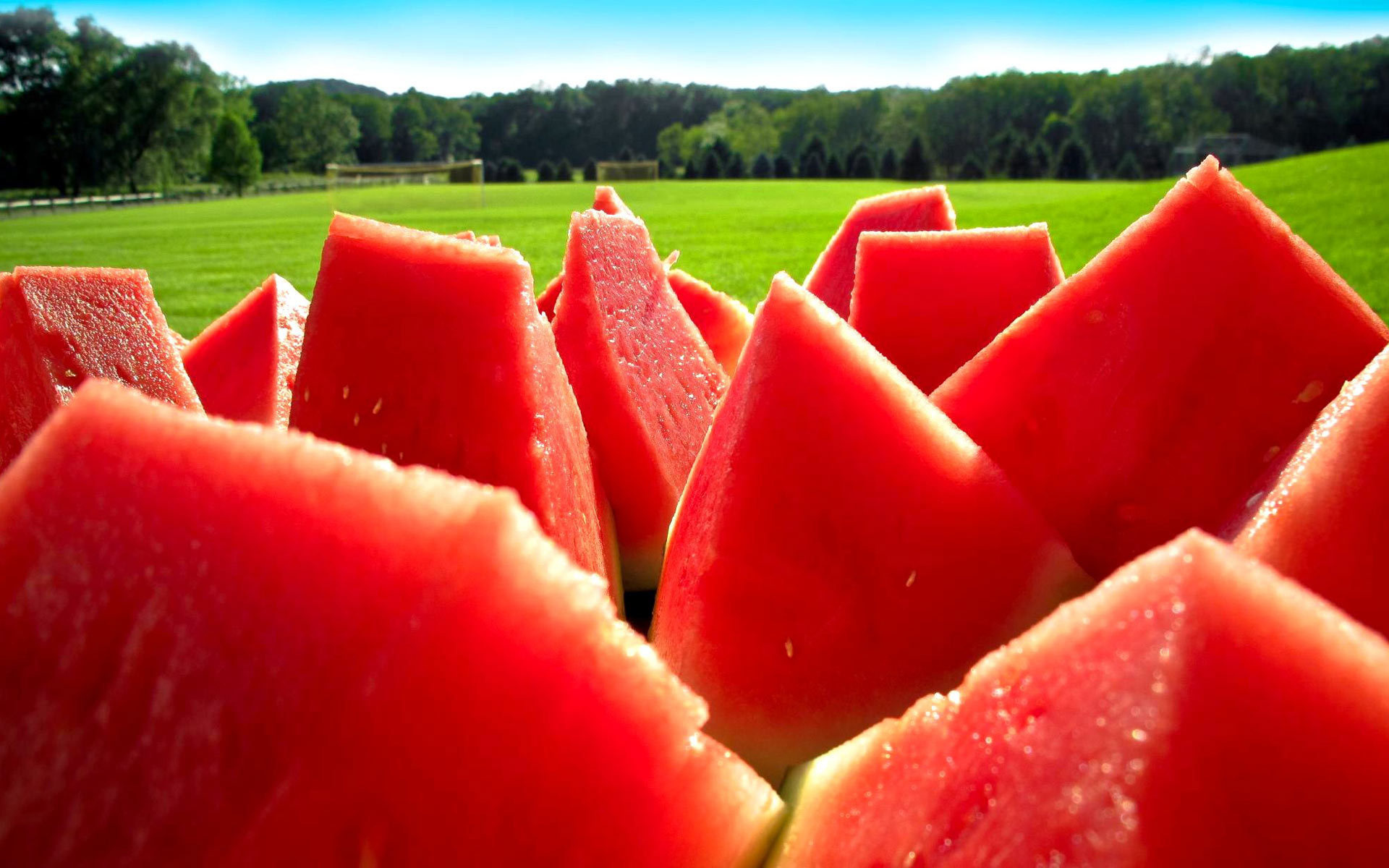 Watermelon desktop wallpaper, High-resolution beauty, Detailed and vivid, Fruit appreciation, 1920x1200 HD Desktop