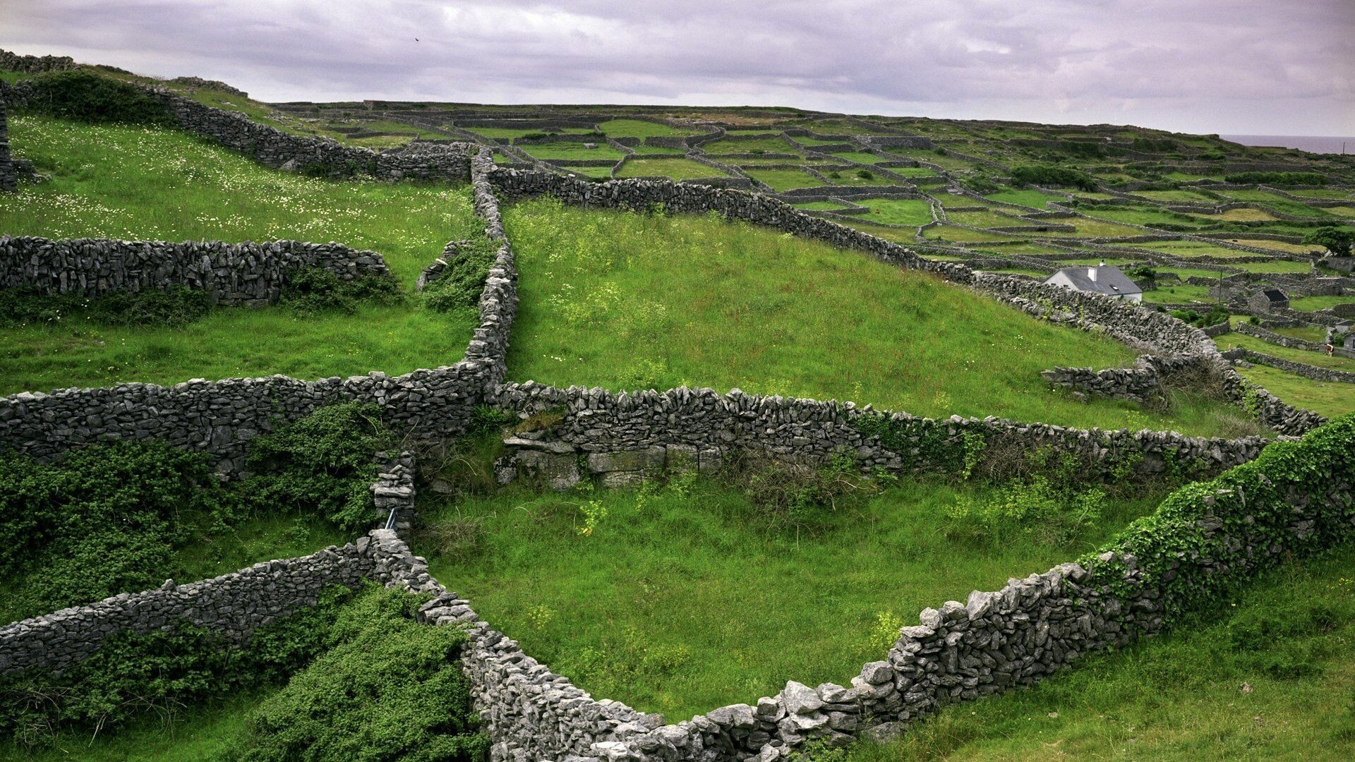 Stone Walls, Irish Countryside Wallpaper, 1920x1080 Full HD Desktop