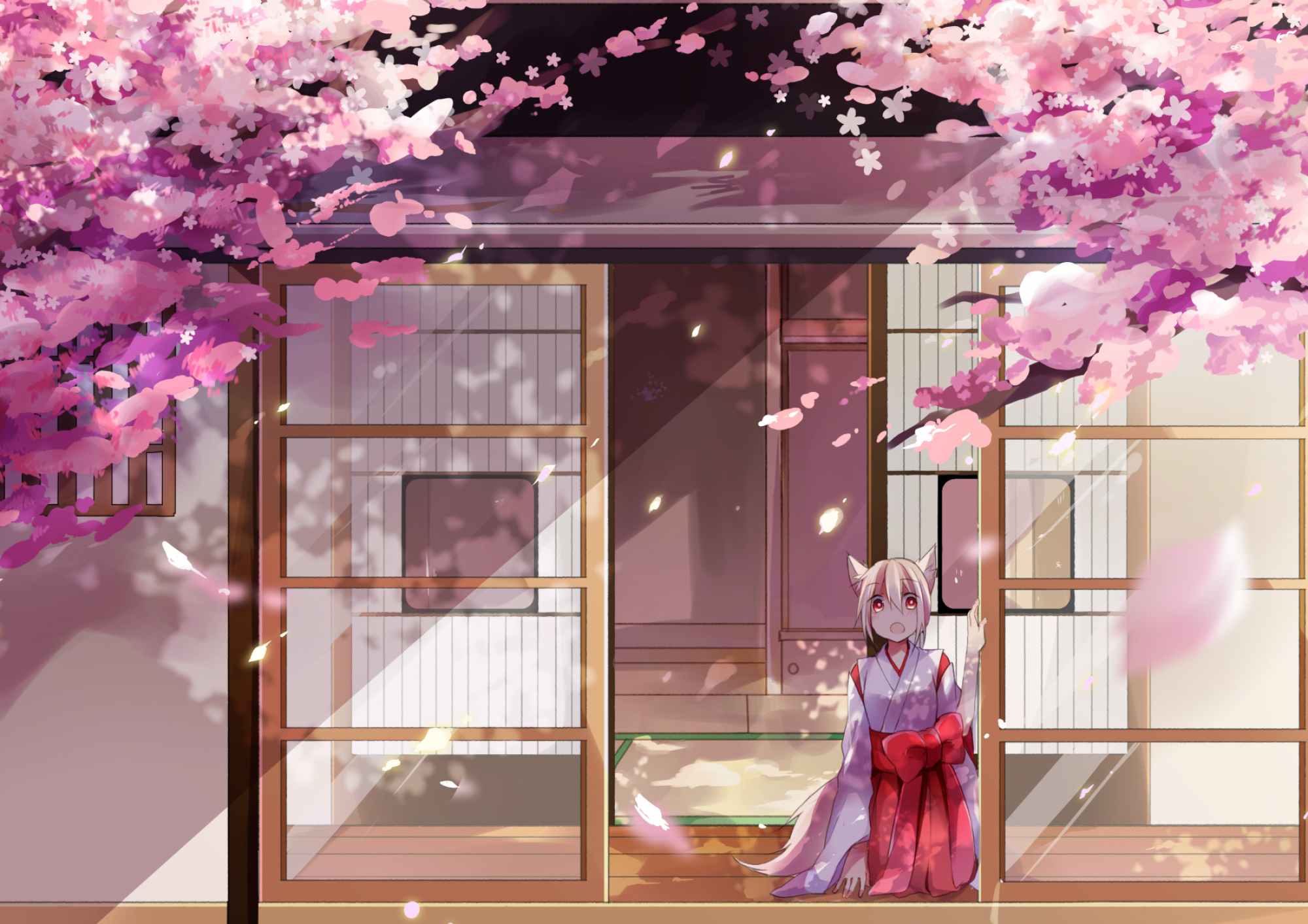 Fox-eared anime girl, Blooming cherry blossom canopy, Traditional Japanese engawa doorway, HD Desktop wallpaper