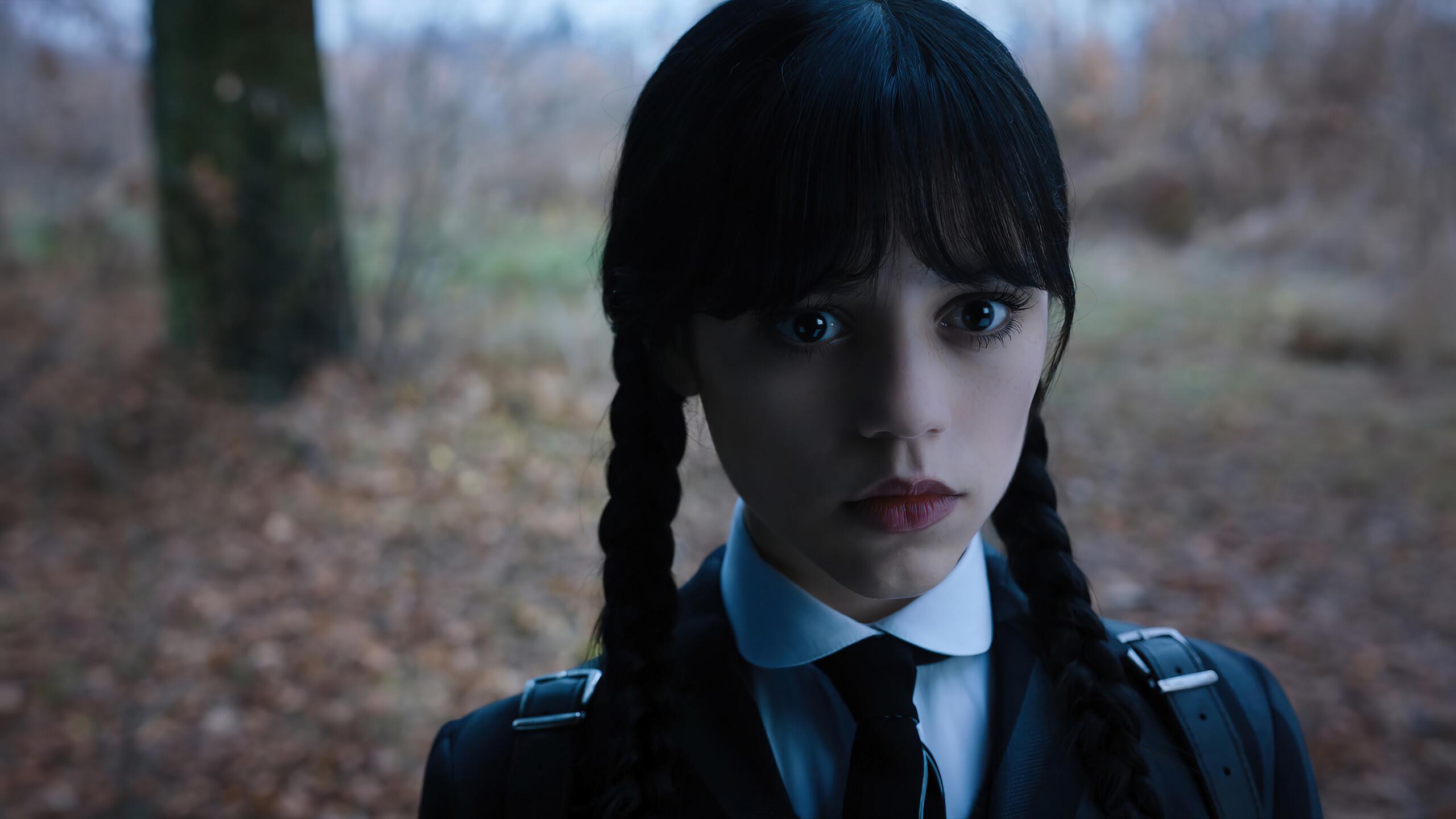 Wednesday Addams, Nevermore Academy uniform, gloomy forest, HD Desktop wallpaper