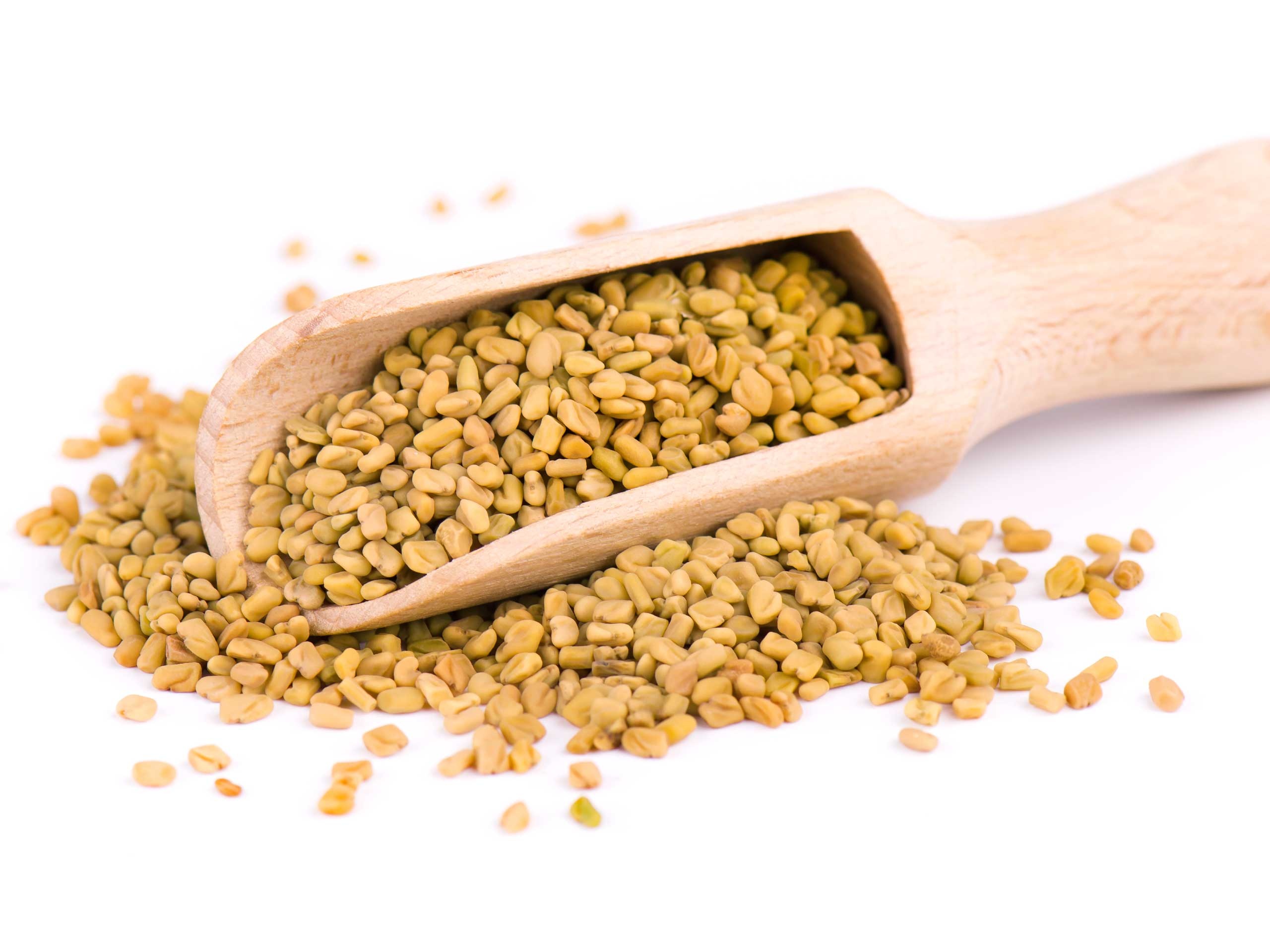 Fenugreek seed methi, Indian spice, Yugen, 2560x1920 HD Desktop