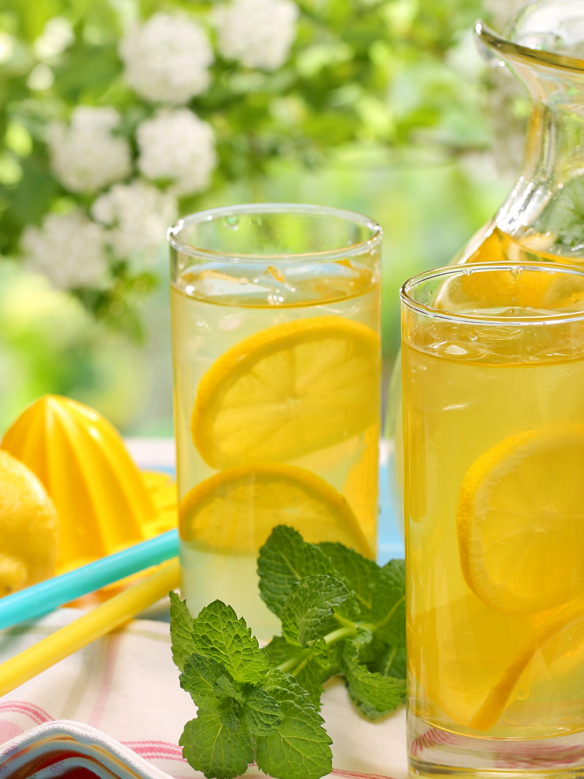 Refreshing lemonade, HD wallpapers, Citrusy goodness, Summer vibes, 2050x2740 HD Phone