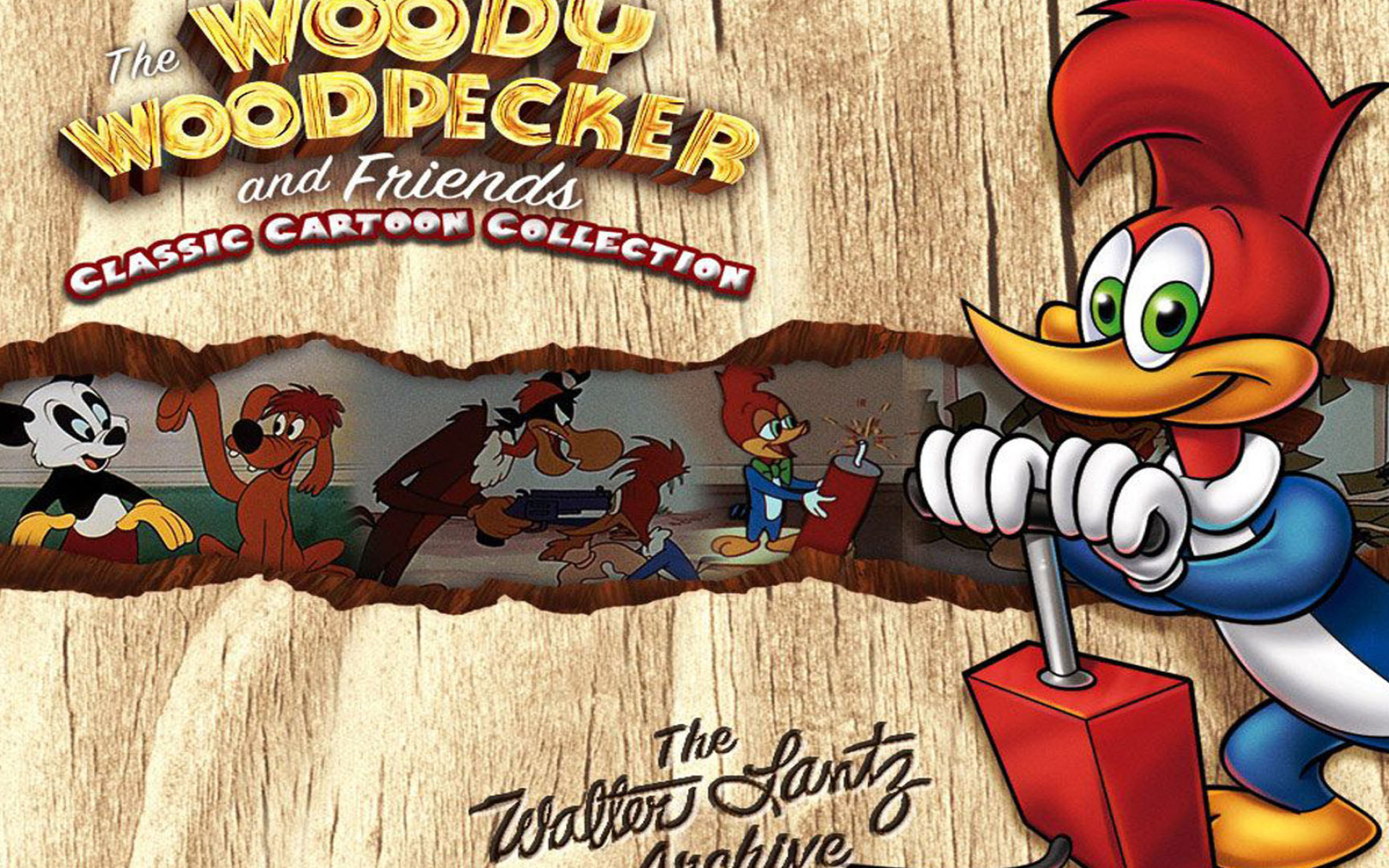 Woody Woodpecker and His Friends, Woody Woodpecker Wallpaper, 1920x1200 HD Desktop