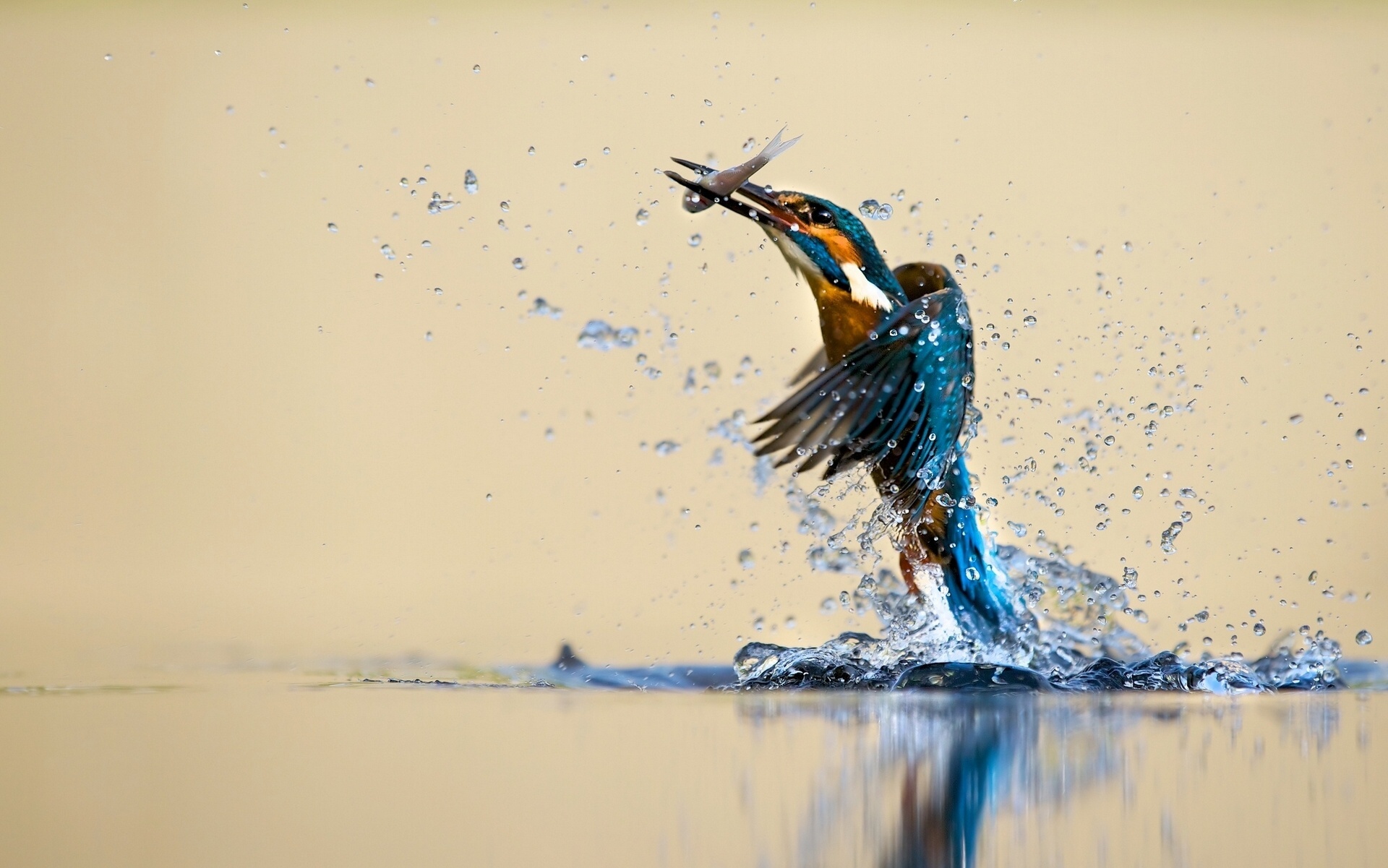 Water spray, Catching drops, Reflection, HD wallpapers, 1920x1210 HD Desktop