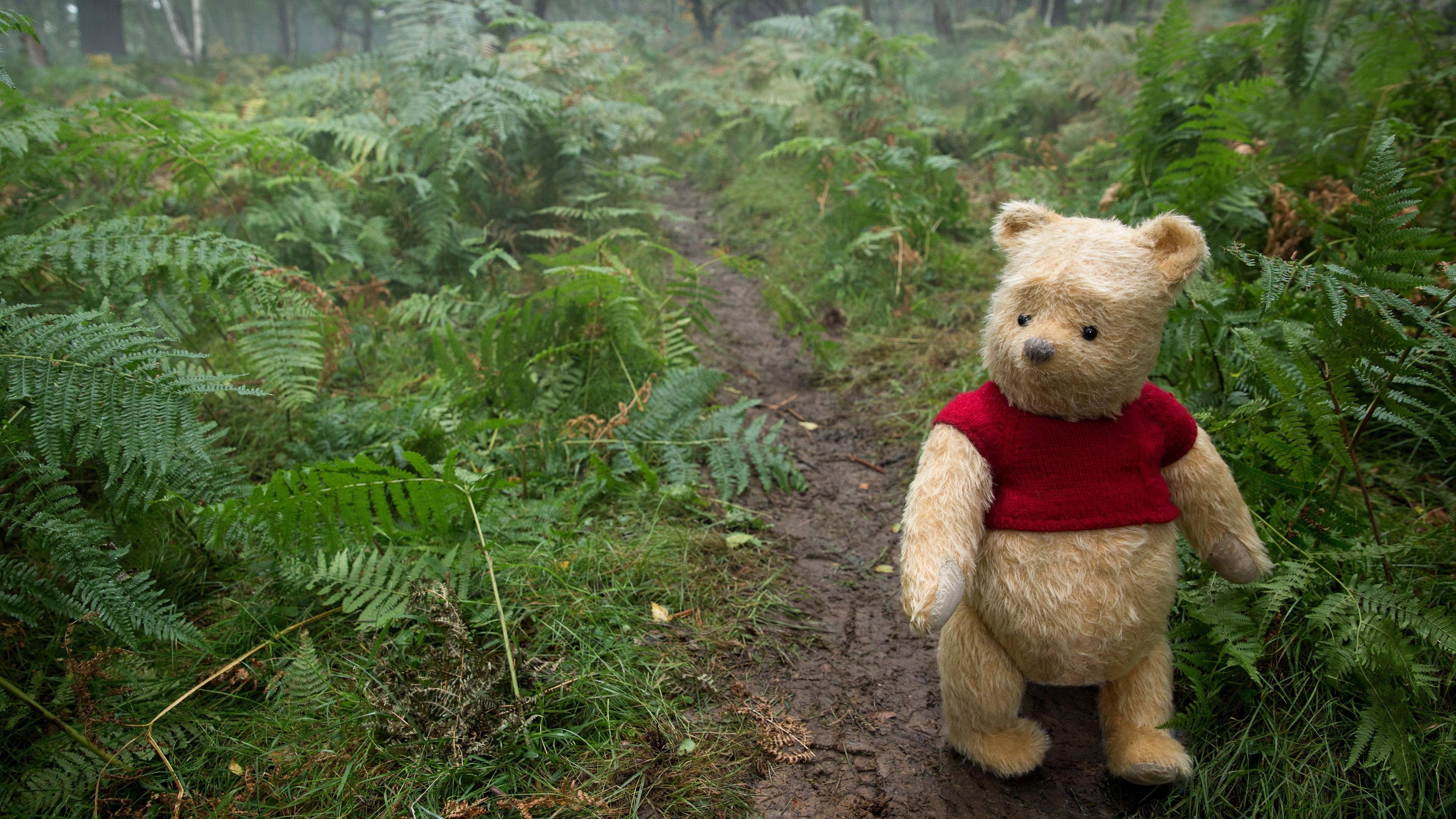 Christopher Robin movie, Top-quality wallpapers, Captivating visuals, Memorable scenes, 3840x2160 4K Desktop