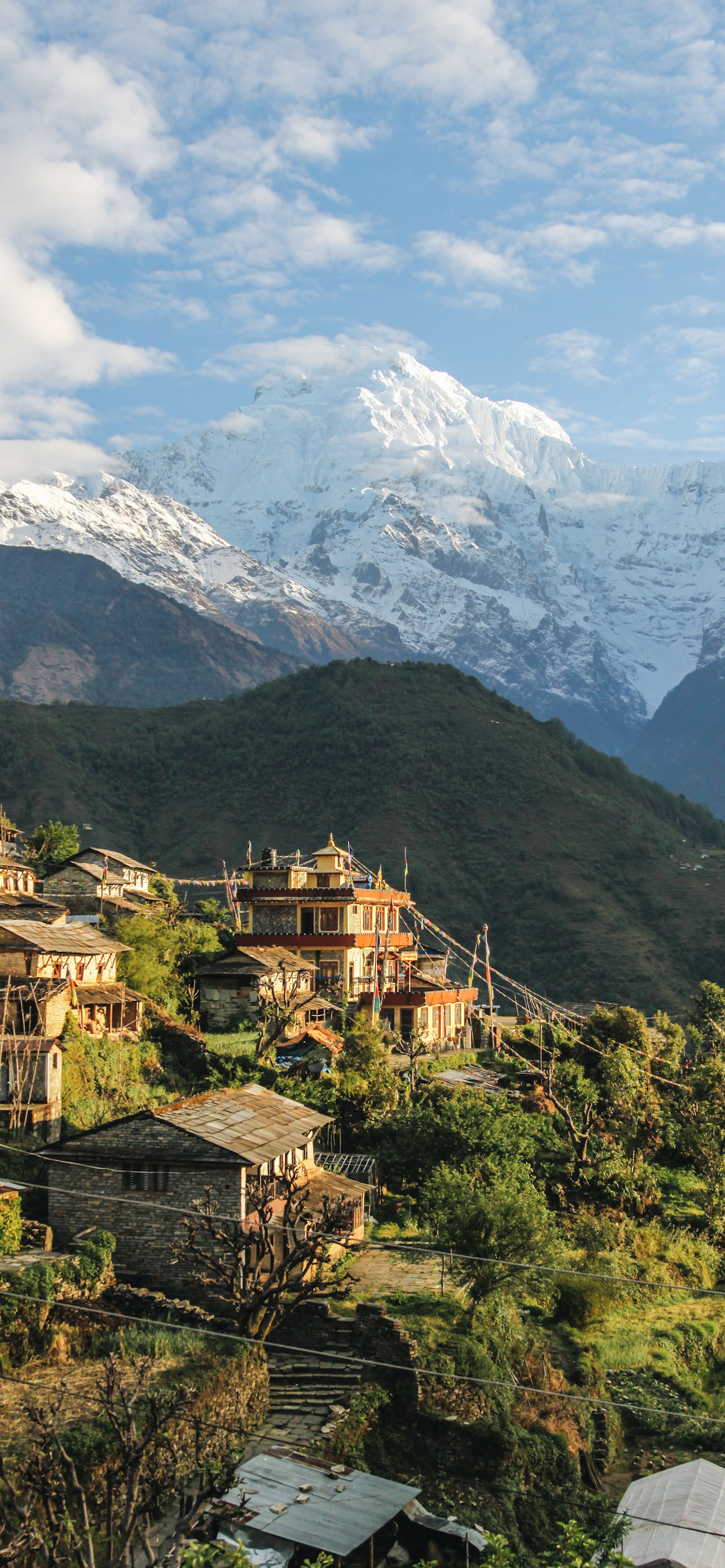 Narchyang, Nepal Wallpaper, 1250x2690 HD Phone