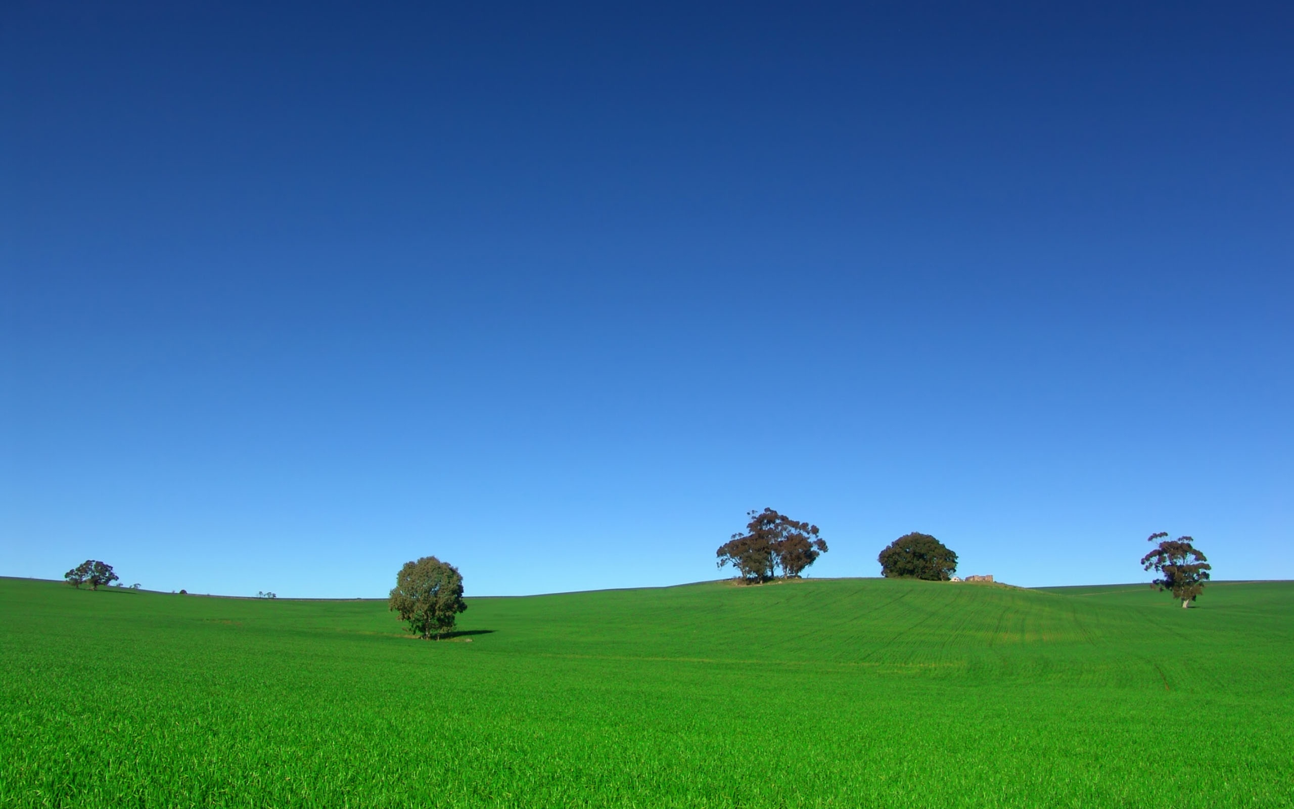 Grassland, Lush greenery, Serene countryside, Captivating wallpapers, 2560x1600 HD Desktop