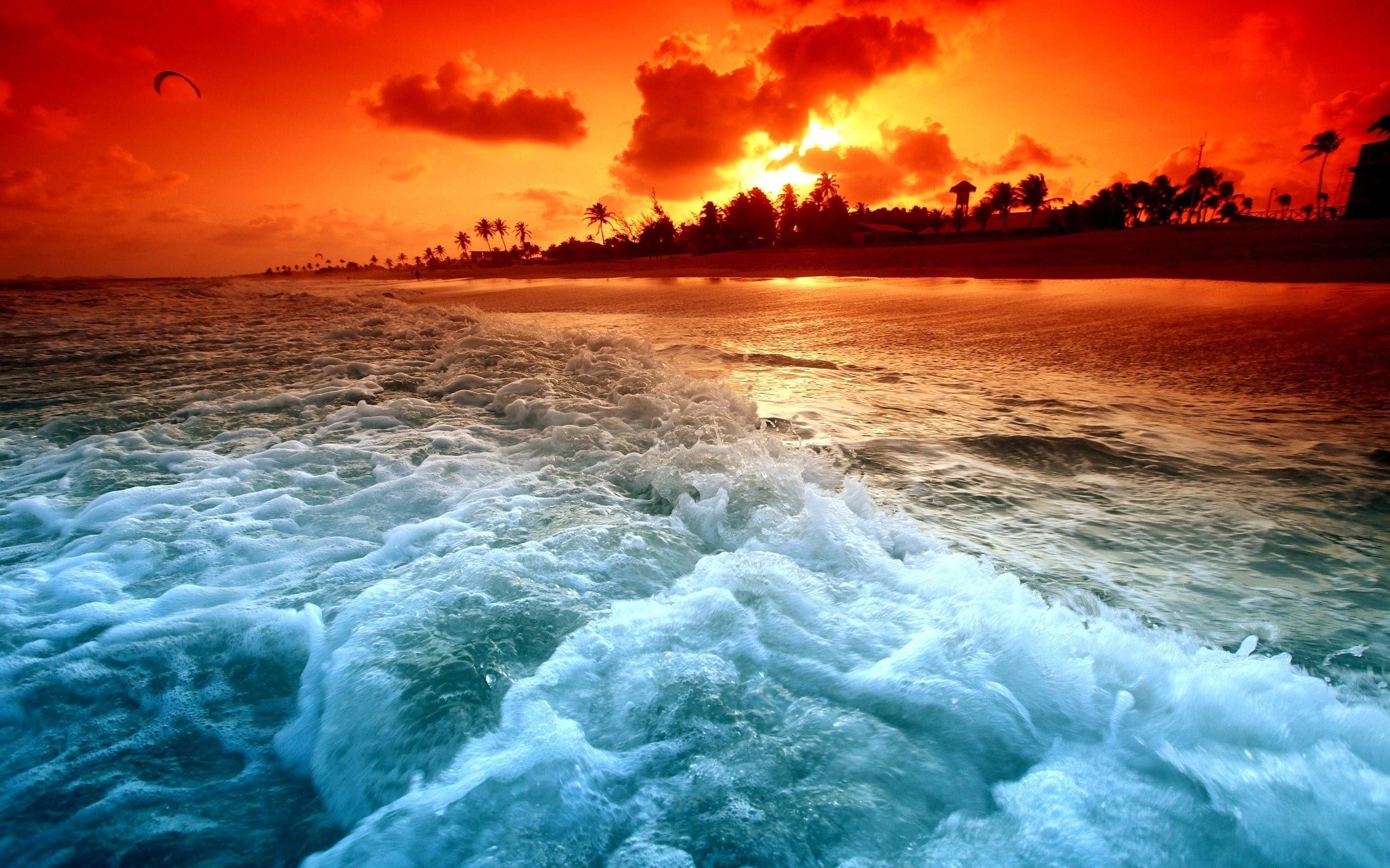 Crashing turquoise seafoam, Silhouetted palm tree beach, Fiery orange sunset sky, HD Desktop wallpaper