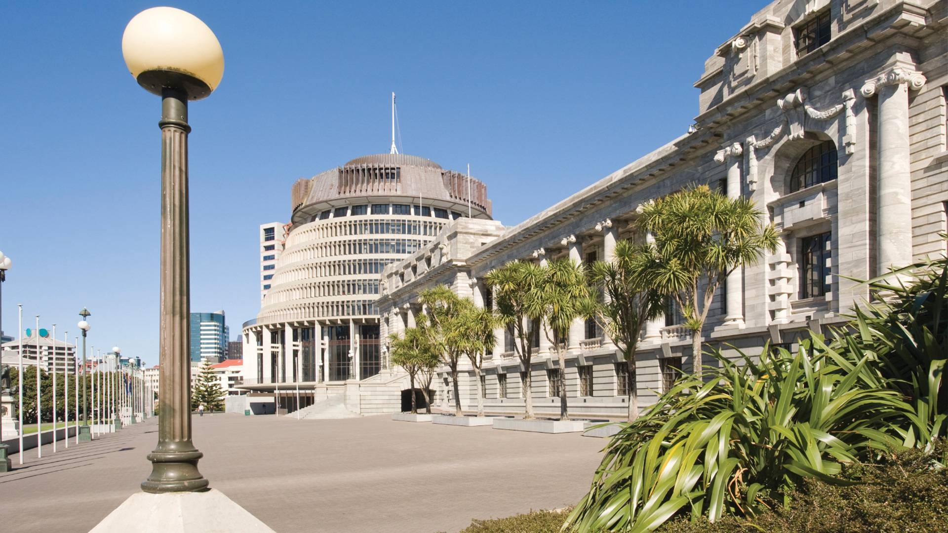 Wellington, New Zealand, City and Bays, Morning Tour, 1920x1080 Full HD Desktop