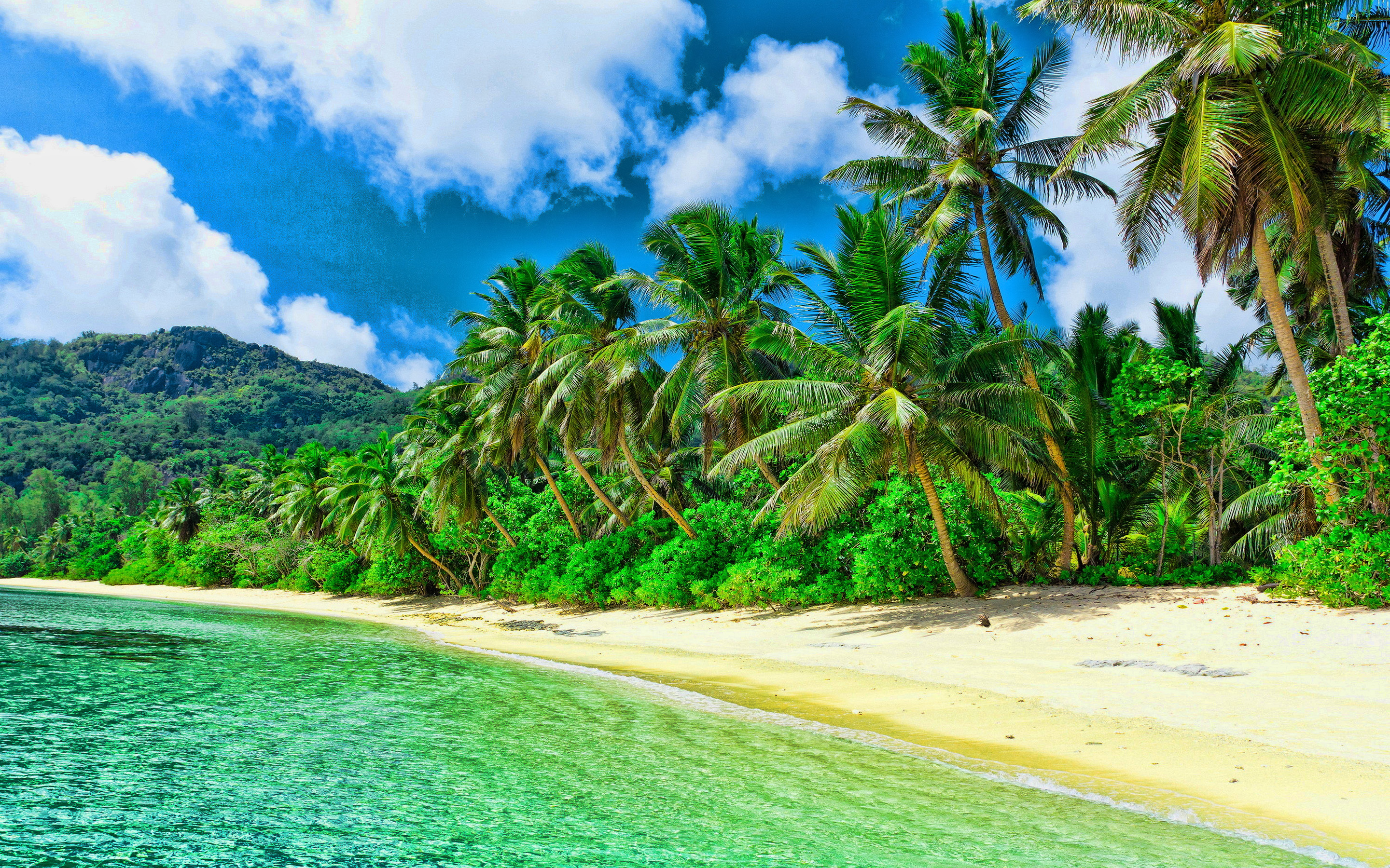 Caribbean Islands, Caribbean islands wallpapers, Palm tree paradise, Beautiful nature, 2880x1800 HD Desktop
