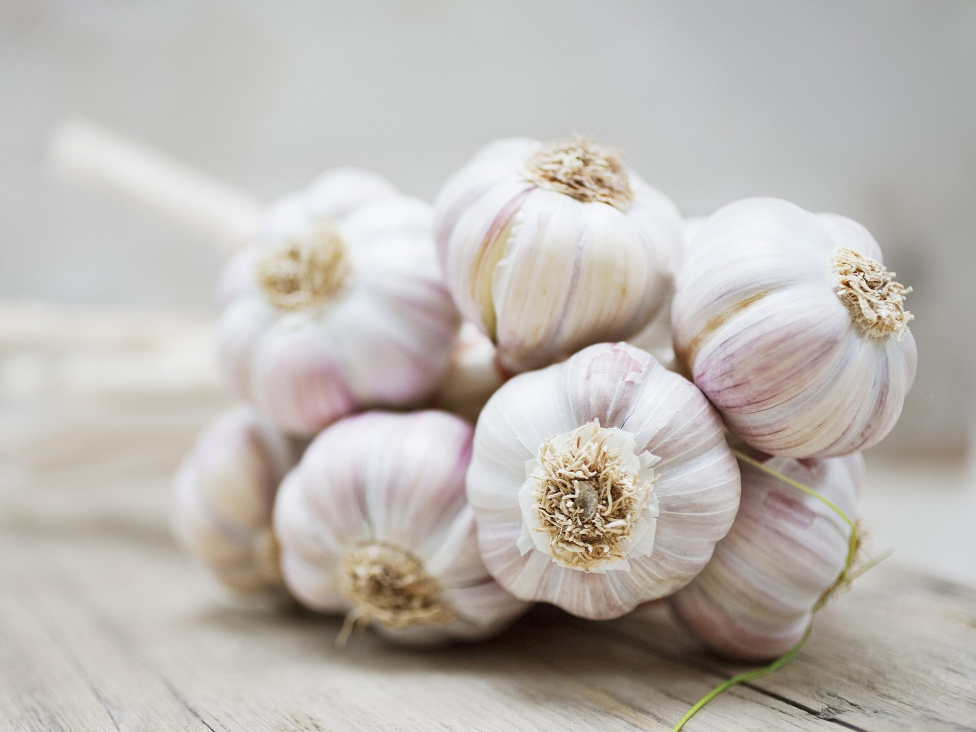 Garlic health benefits, Natural remedy, Immune booster, Wellness advantages, 2000x1500 HD Desktop