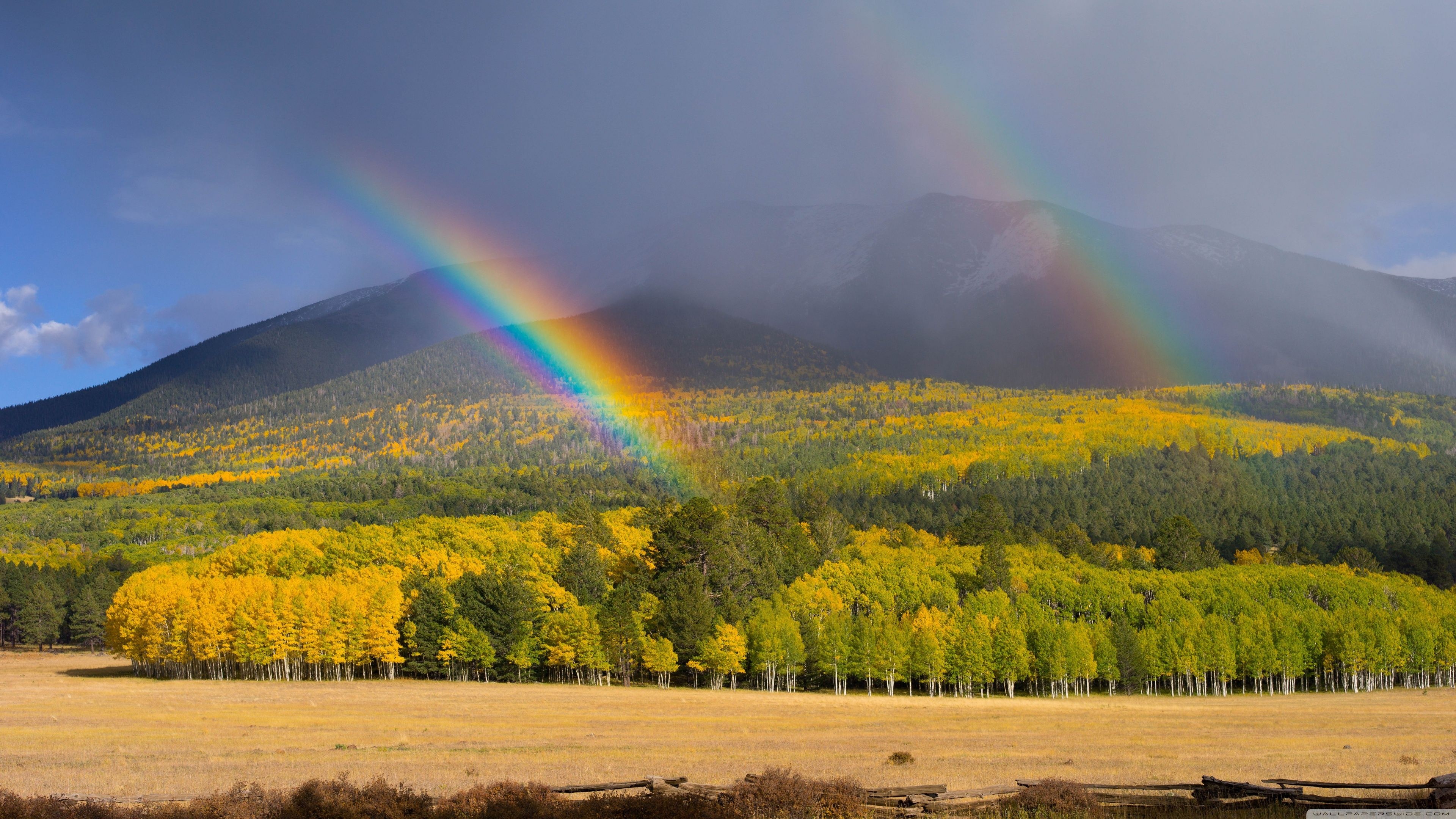 Vivid rainbow arc, Autumn aspen grove, Mountain valley meadow, 4K Desktop wallpaper