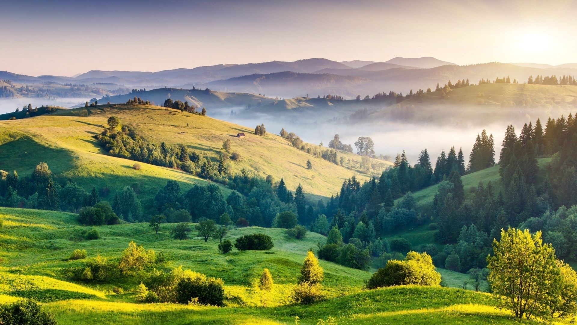 sunlit rolling green hills, morning valley mist, coniferous pine forest, Full HD Desktop wallpaper