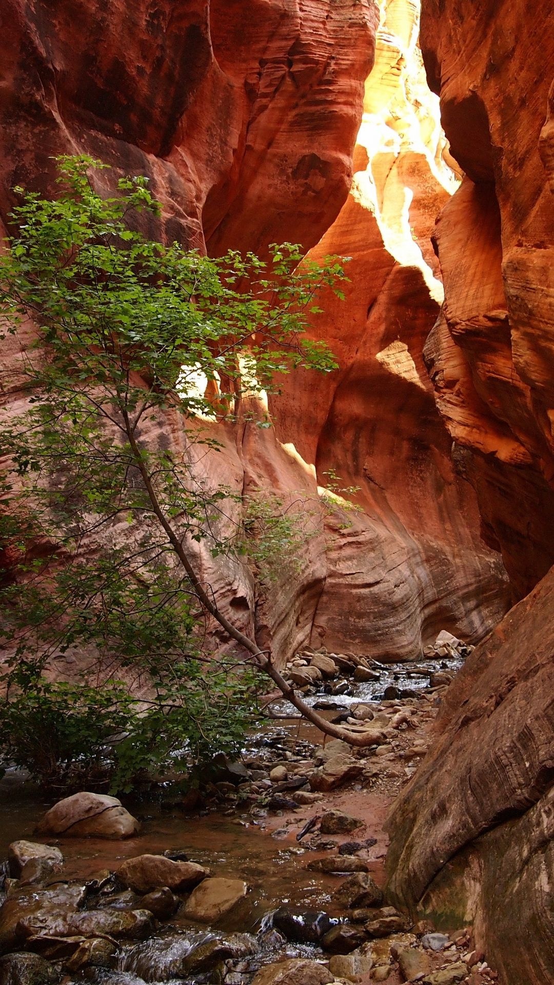 Zion National Park, iPhone Wallpapers, 1080x1920 Full HD Phone