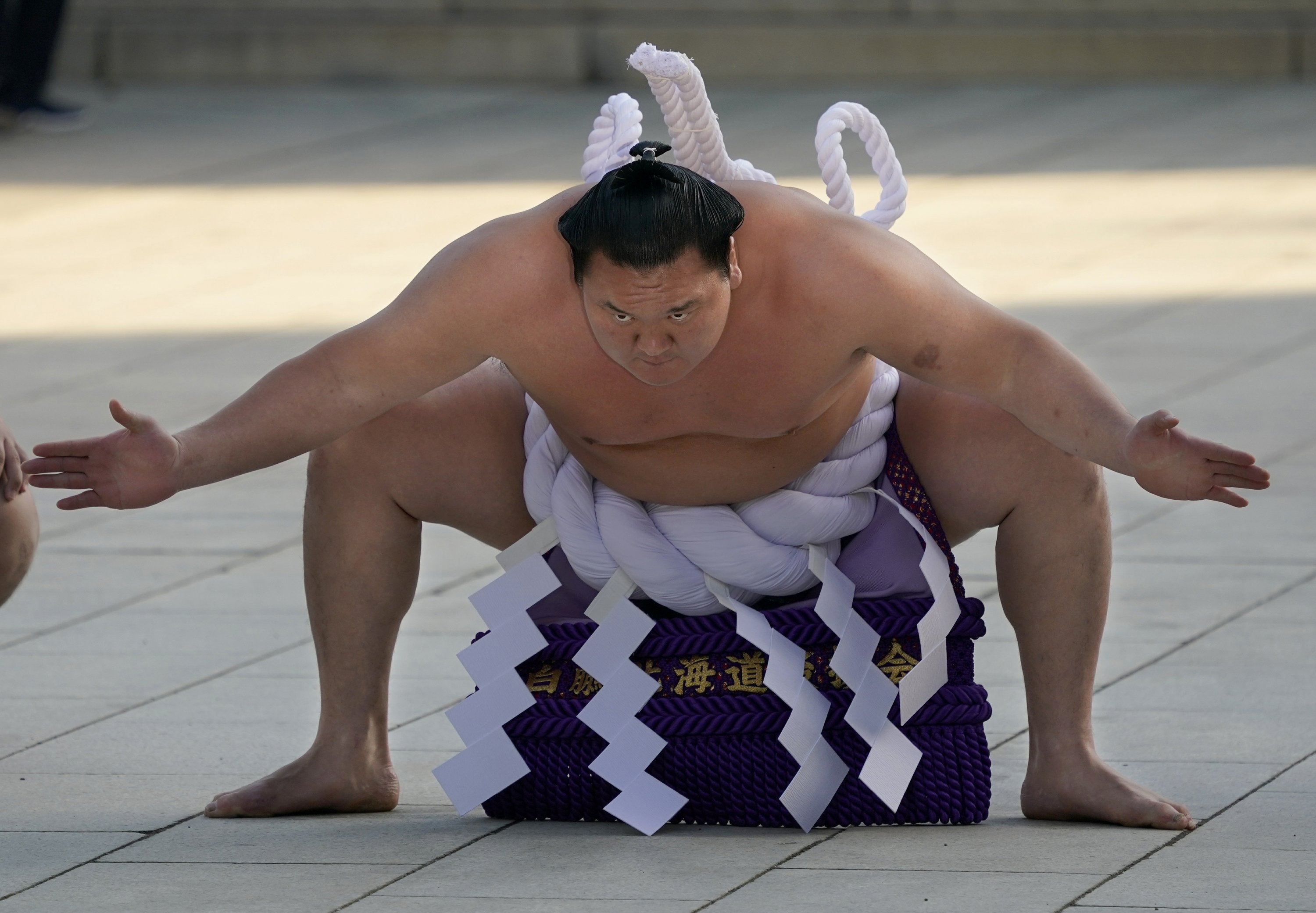 Hakuho Sho, Sumo Wallpaper, 3000x2090 HD Desktop