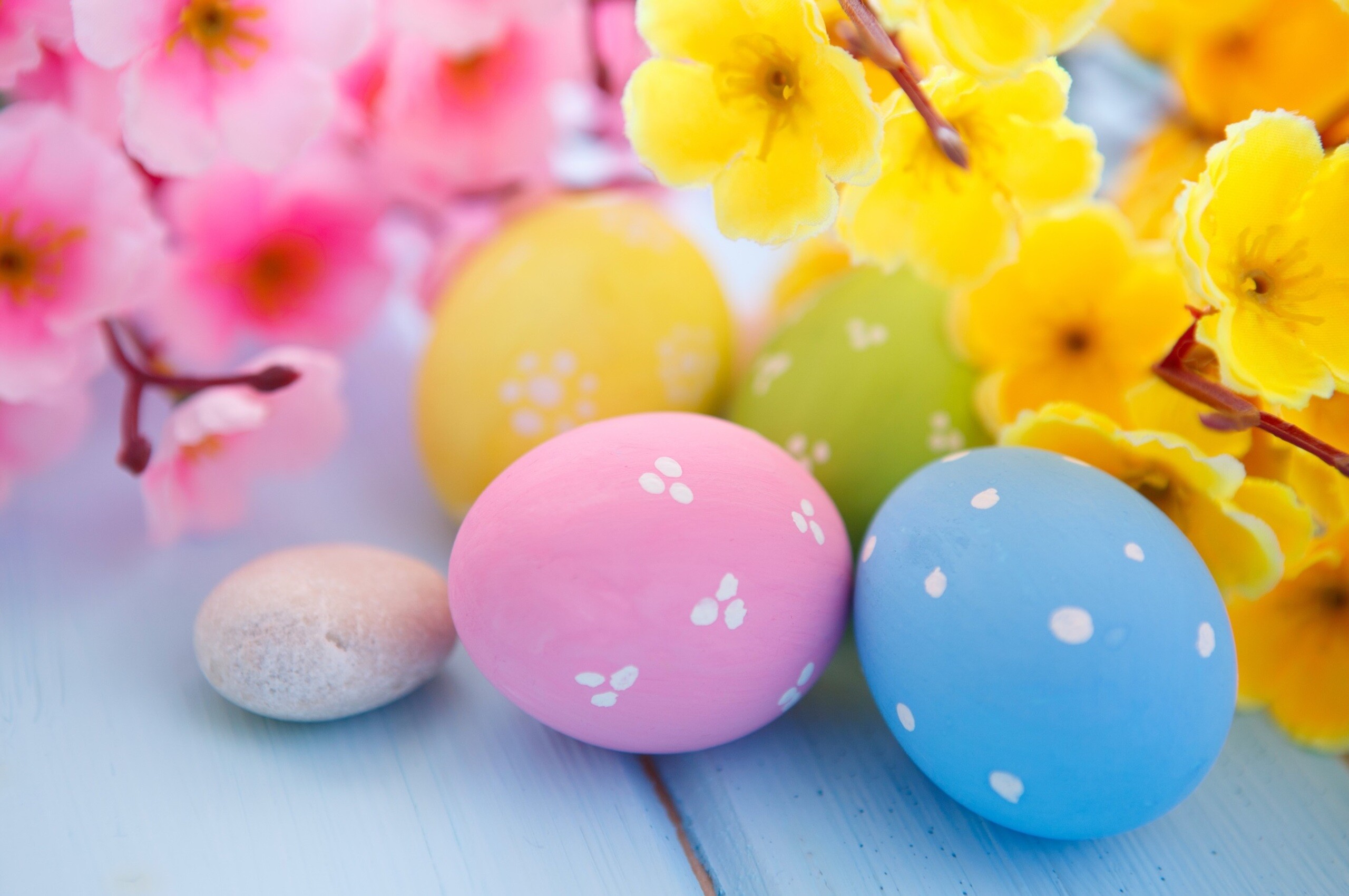 Easter eggs and blossoms, Nature's rebirth, Serene springtime, Harmonious union, 2560x1700 HD Desktop