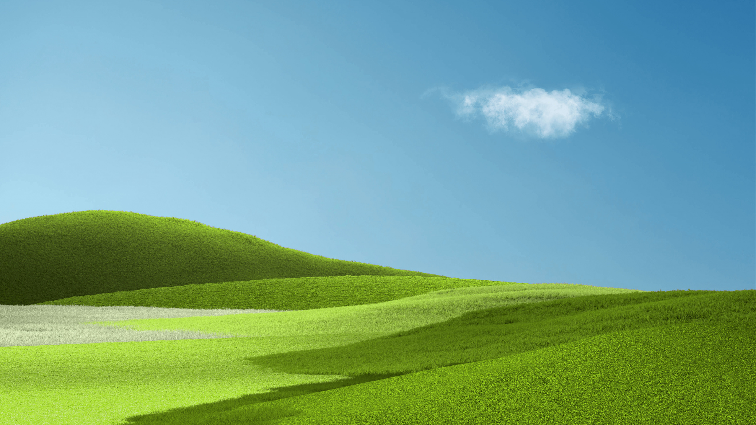 Field of grass wallpapers, Top free field, Grass backgrounds, 2560x1440 HD Desktop