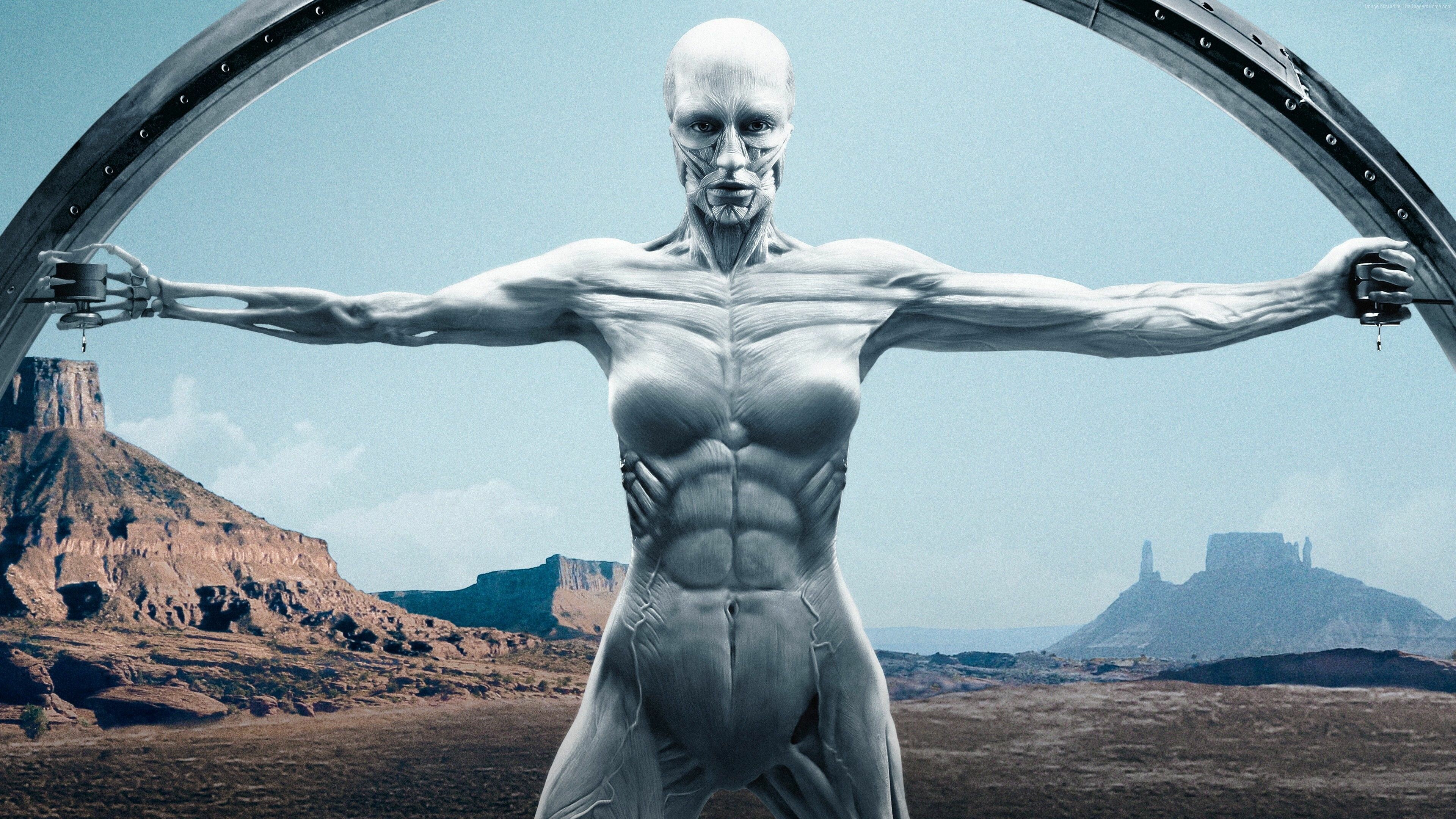 Westworld TV show, Season 2 spectacle, 4K wallpaper extravaganza, Epic storytelling, 3840x2160 4K Desktop