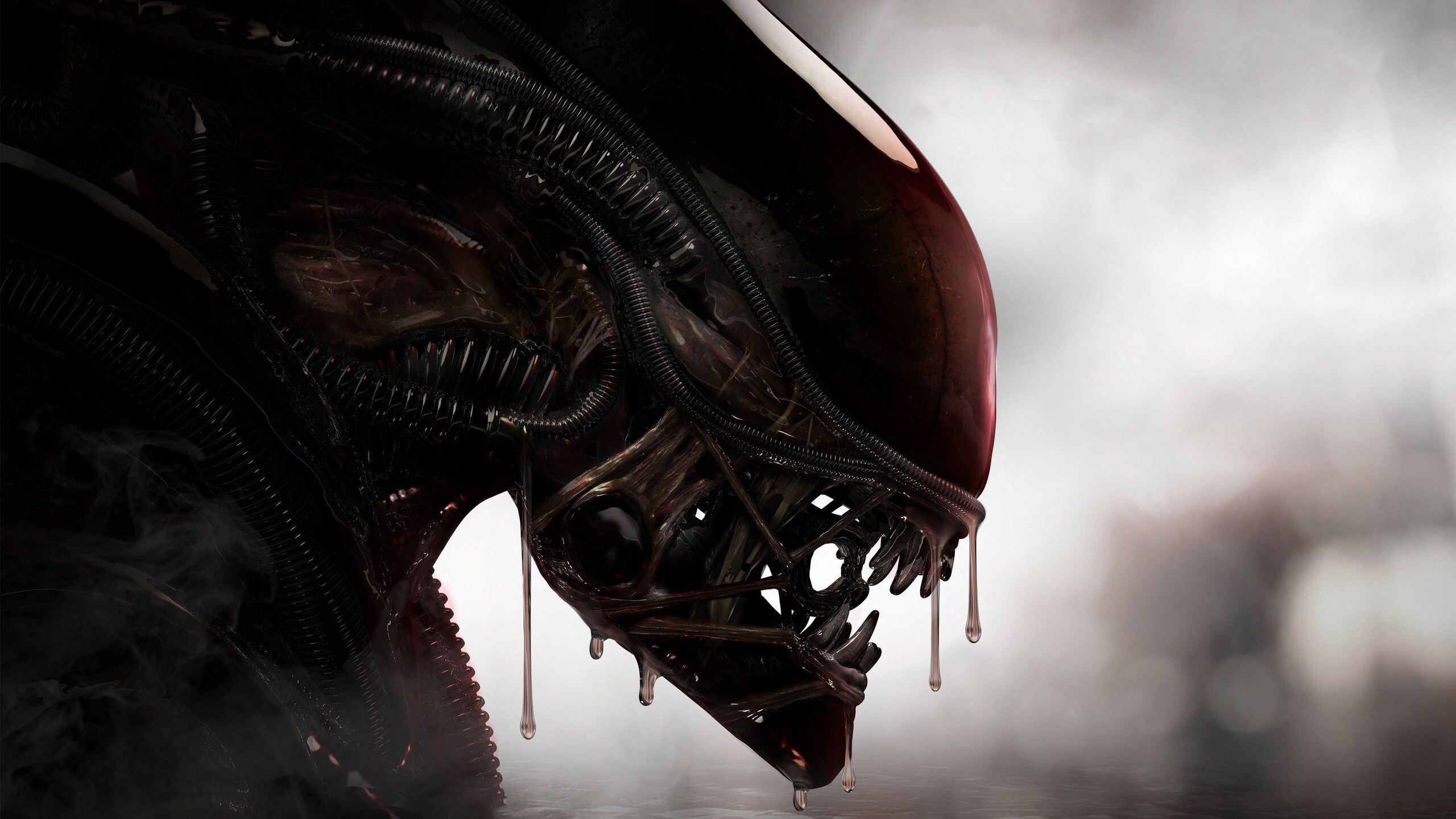H.R. Giger, Cool Xenomorph wallpapers, Dark and eerie, Sci-fi horror, 2560x1440 HD Desktop