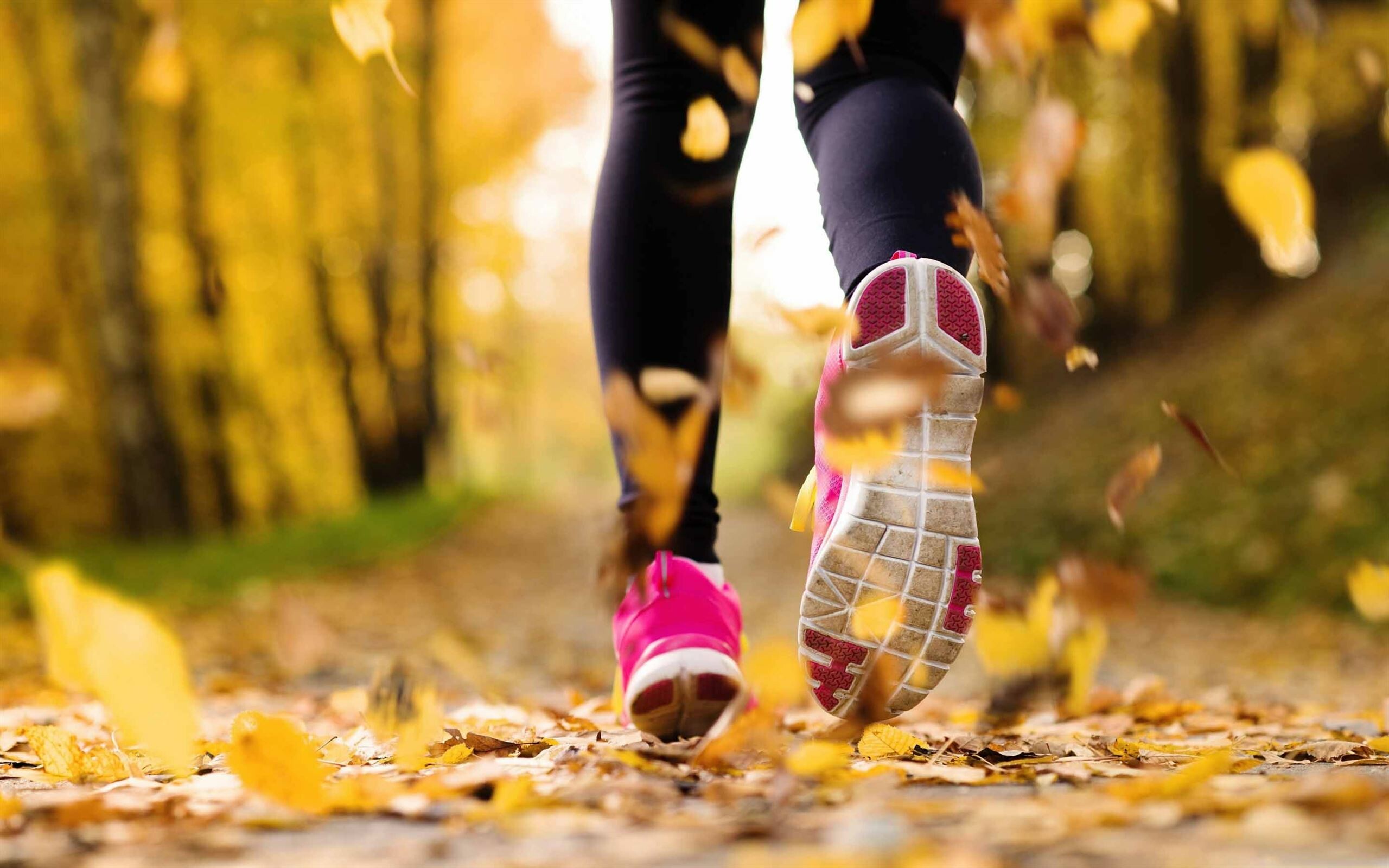 Jogging, Running Wallpaper, 2560x1600 HD Desktop