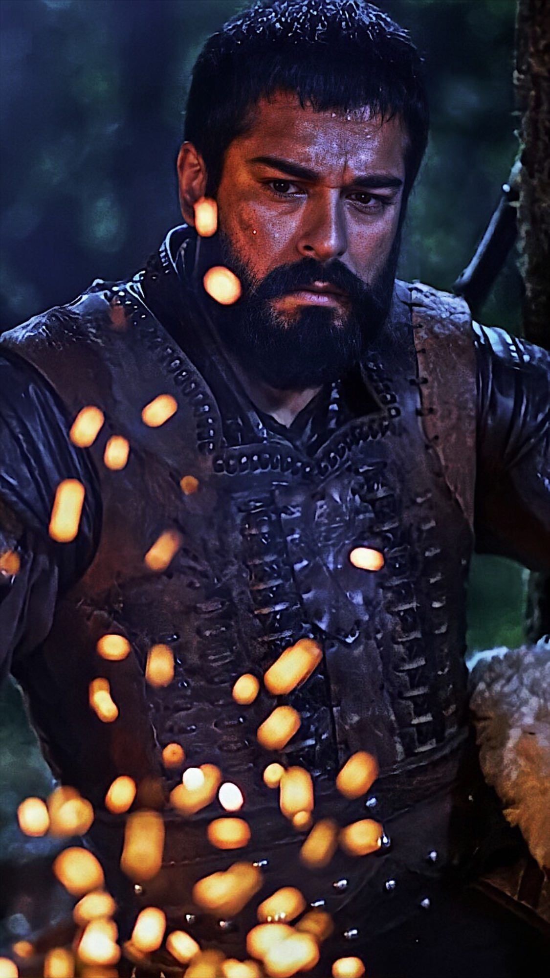 12 Osman-Ideen | pferde tapete, pferdegemlde, pferde hintergrundbilder 1130x2000