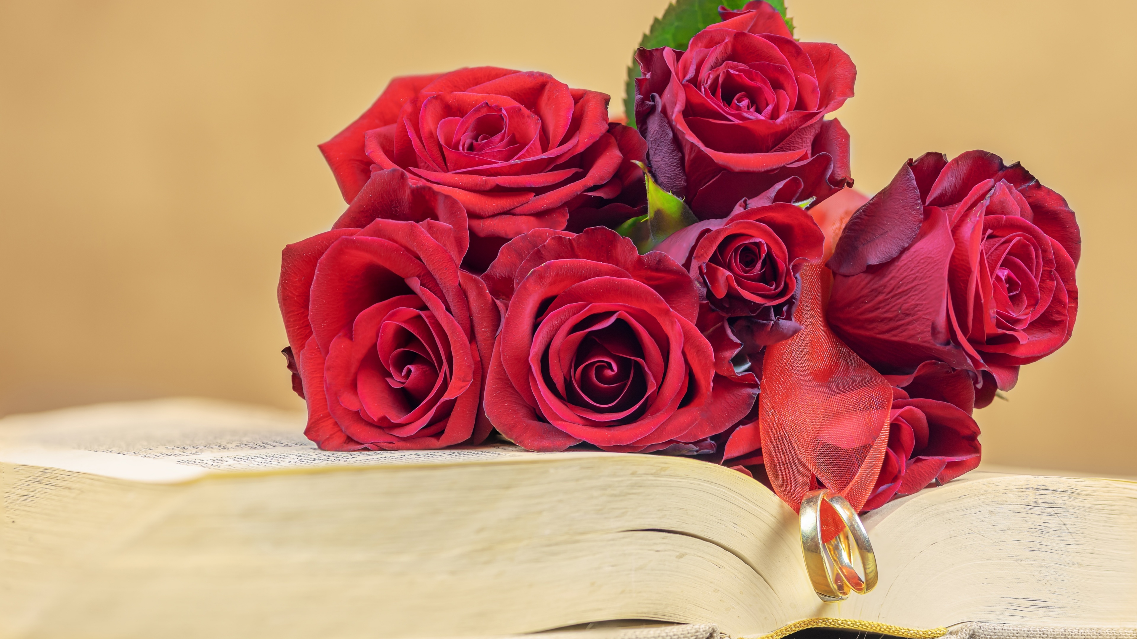 Rings and roses, Wedding Ring Wallpaper, 3840x2160 4K Desktop