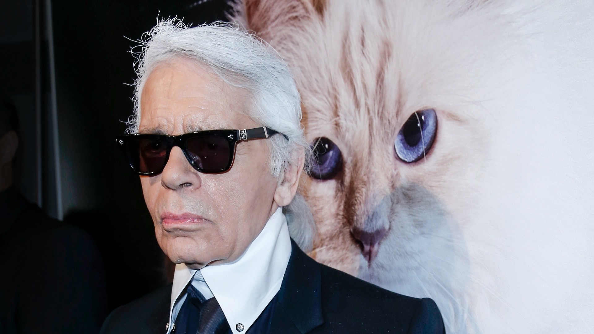 Cat Choupette, Karl Lagerfeld's birthday, Private jet, Tierra Entretenimiento, 1920x1080 Full HD Desktop