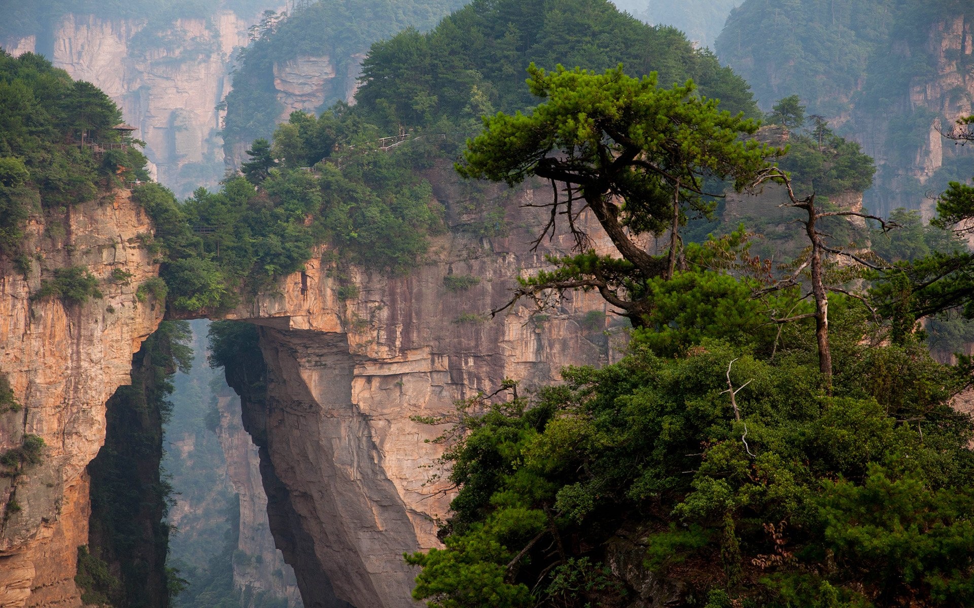 Zhangjiajie national forest park, HD wallpapers, 1920x1200 HD Desktop