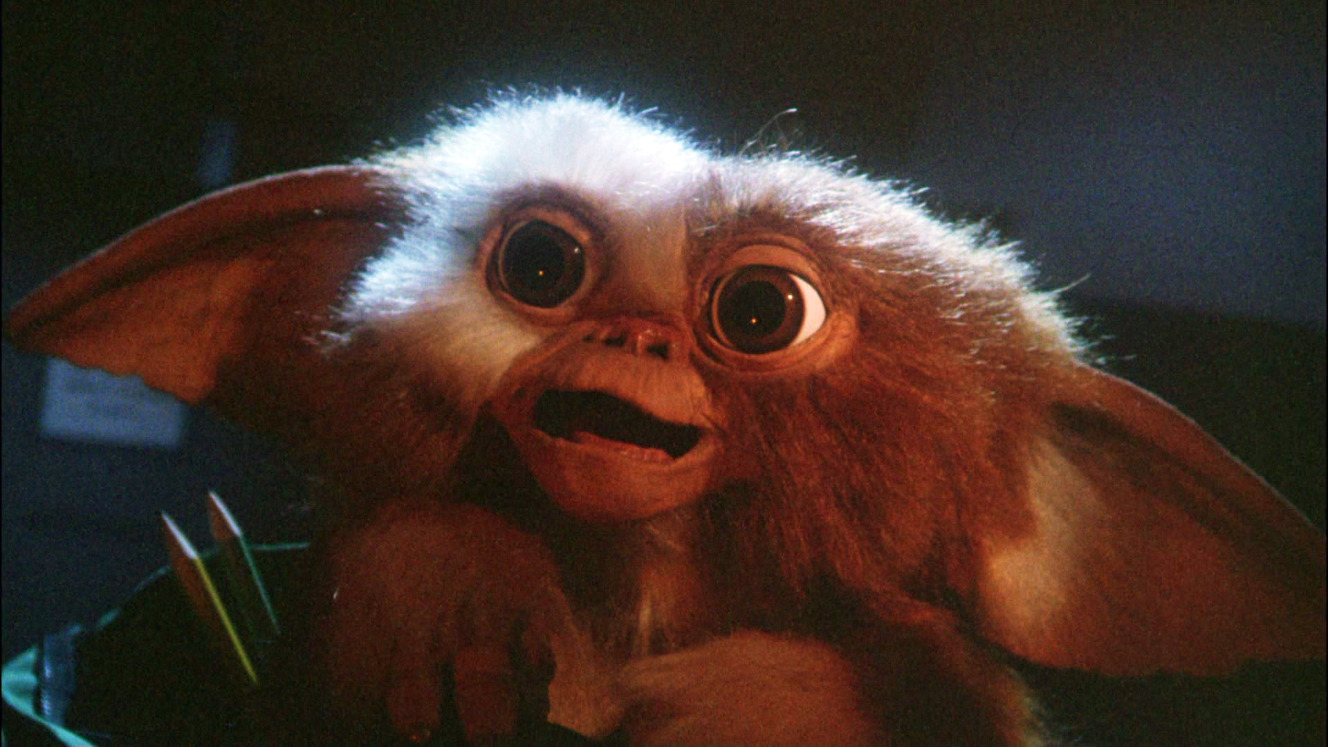 Chris Columbus, Goonies, Gremlins, Sequel production, 1920x1080 Full HD Desktop