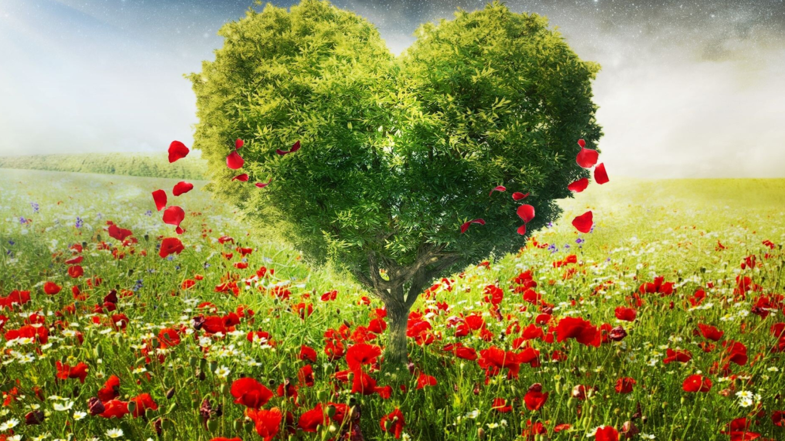 Go Green, Love, Tree, Poppies, Nature, 2560x1440 HD Desktop