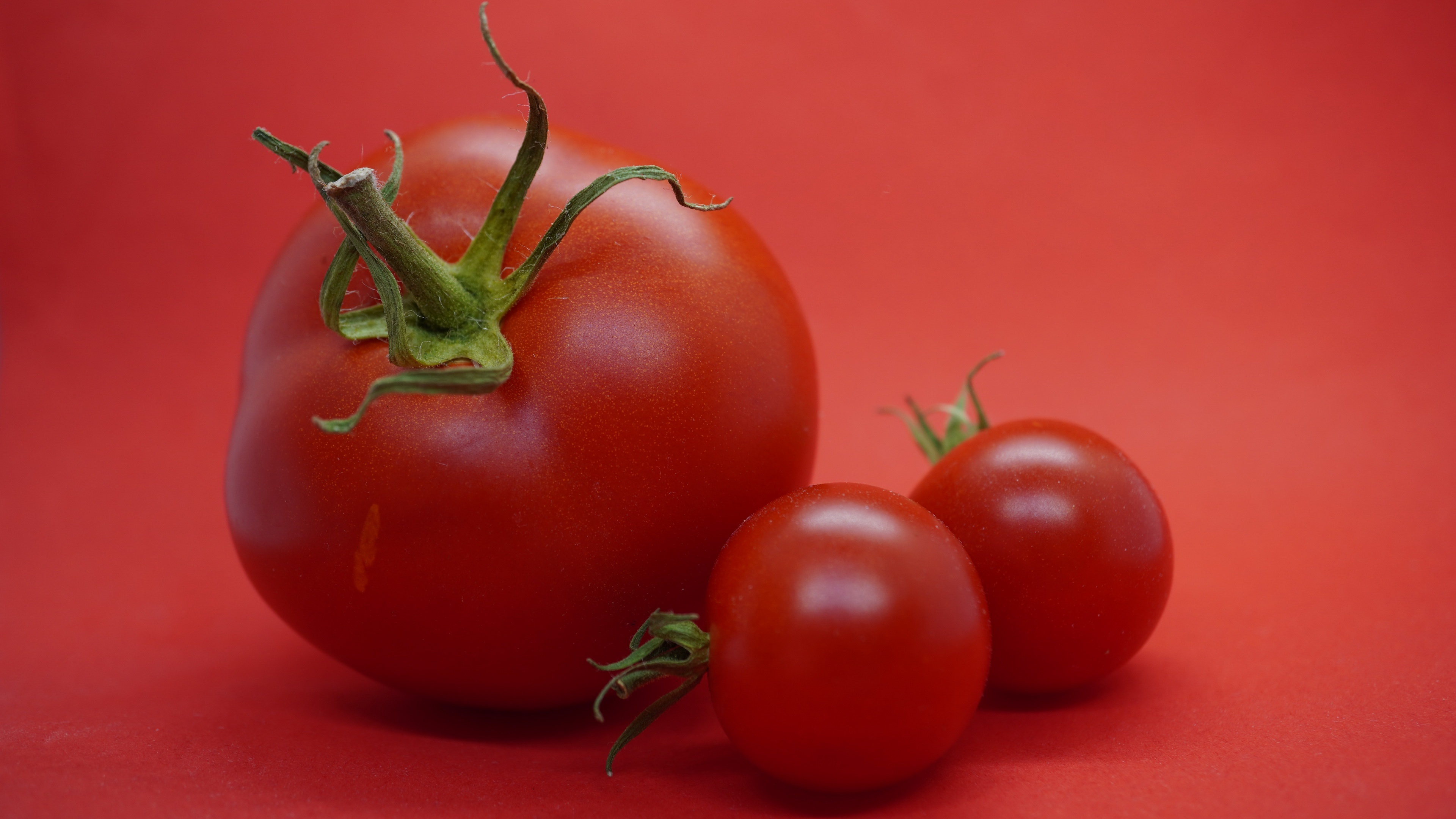 High-definition texture, Rich color palette, Fresh vegetable, Farm-to-table, 3840x2160 4K Desktop