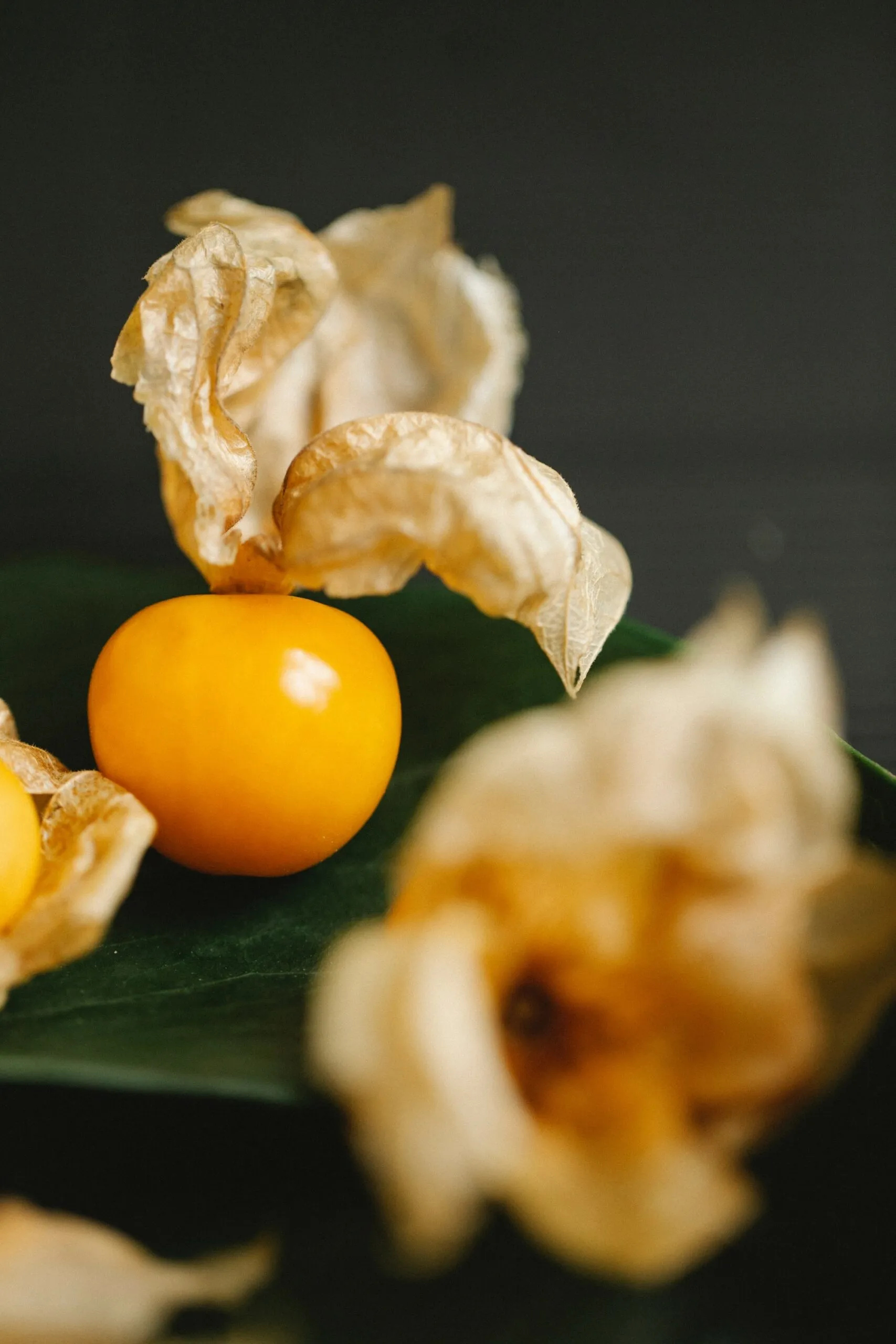 Physalis, Exotic fruit, Fresh and sweet, Nature's delicacy, 1710x2560 HD Phone