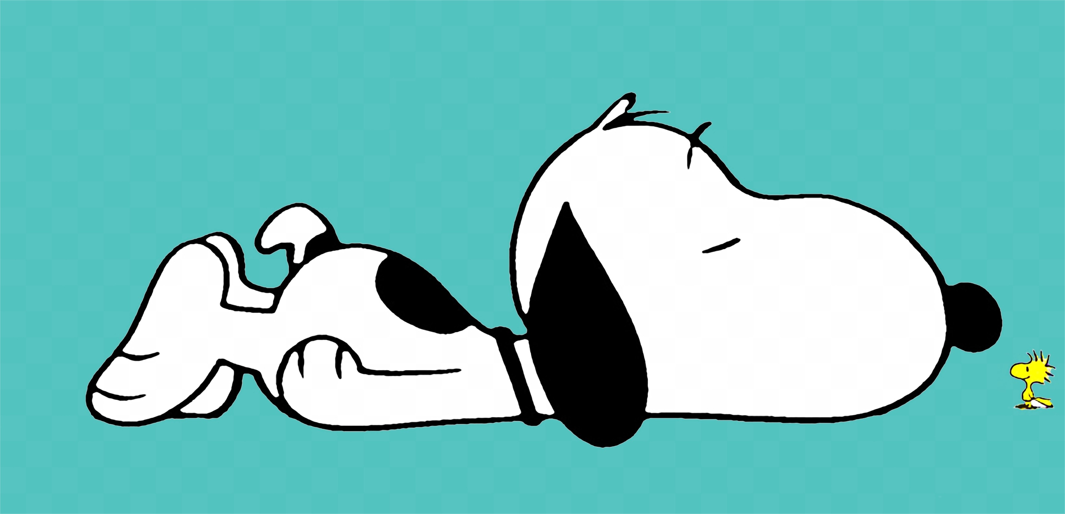 Snoopy, Woodstock, teal background, Dual Screen Desktop wallpaper
