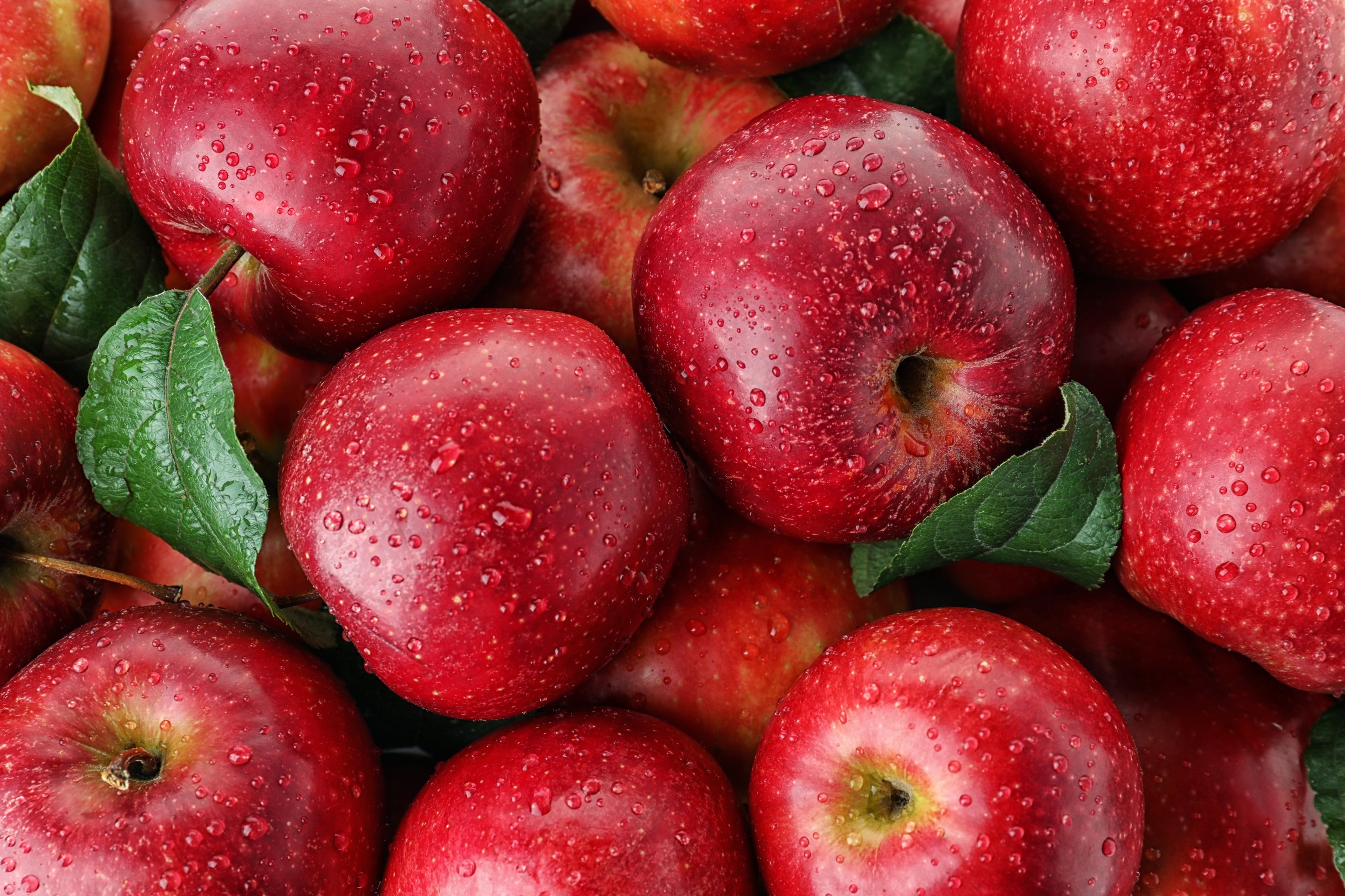 Turkish apple market, Green light approval, Fruit producers, thriving export, 3000x2000 HD Desktop