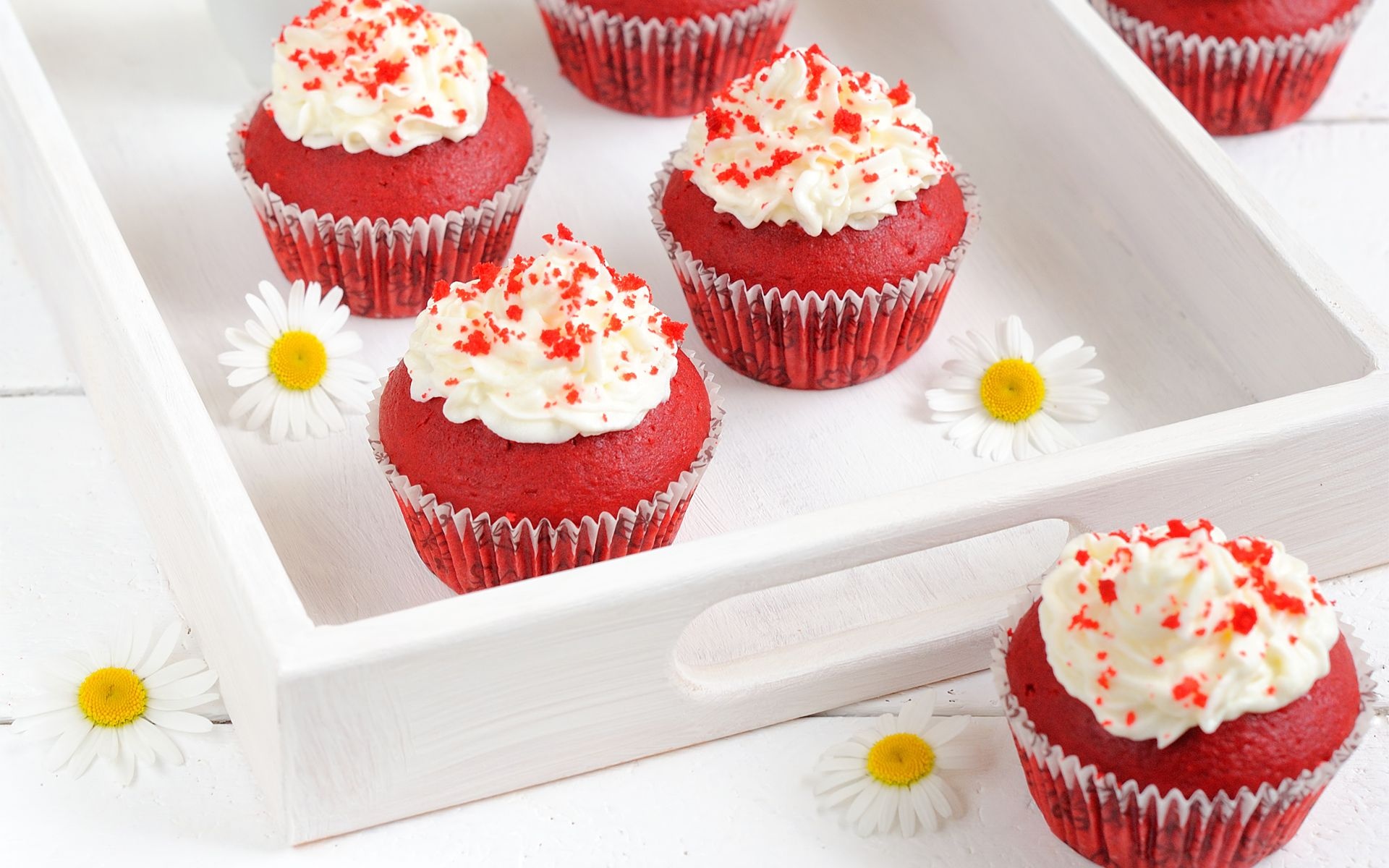 Red velvet, Cupcakes Wallpaper, 1920x1200 HD Desktop