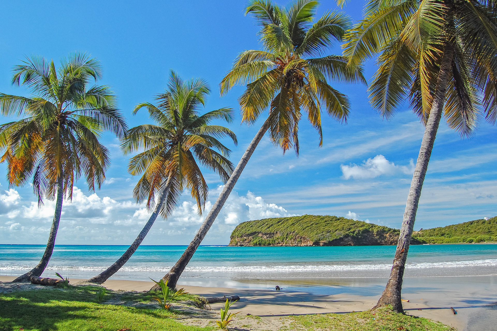 Grenada island, International Festival of the Island, Cultural celebration, 1920x1280 HD Desktop