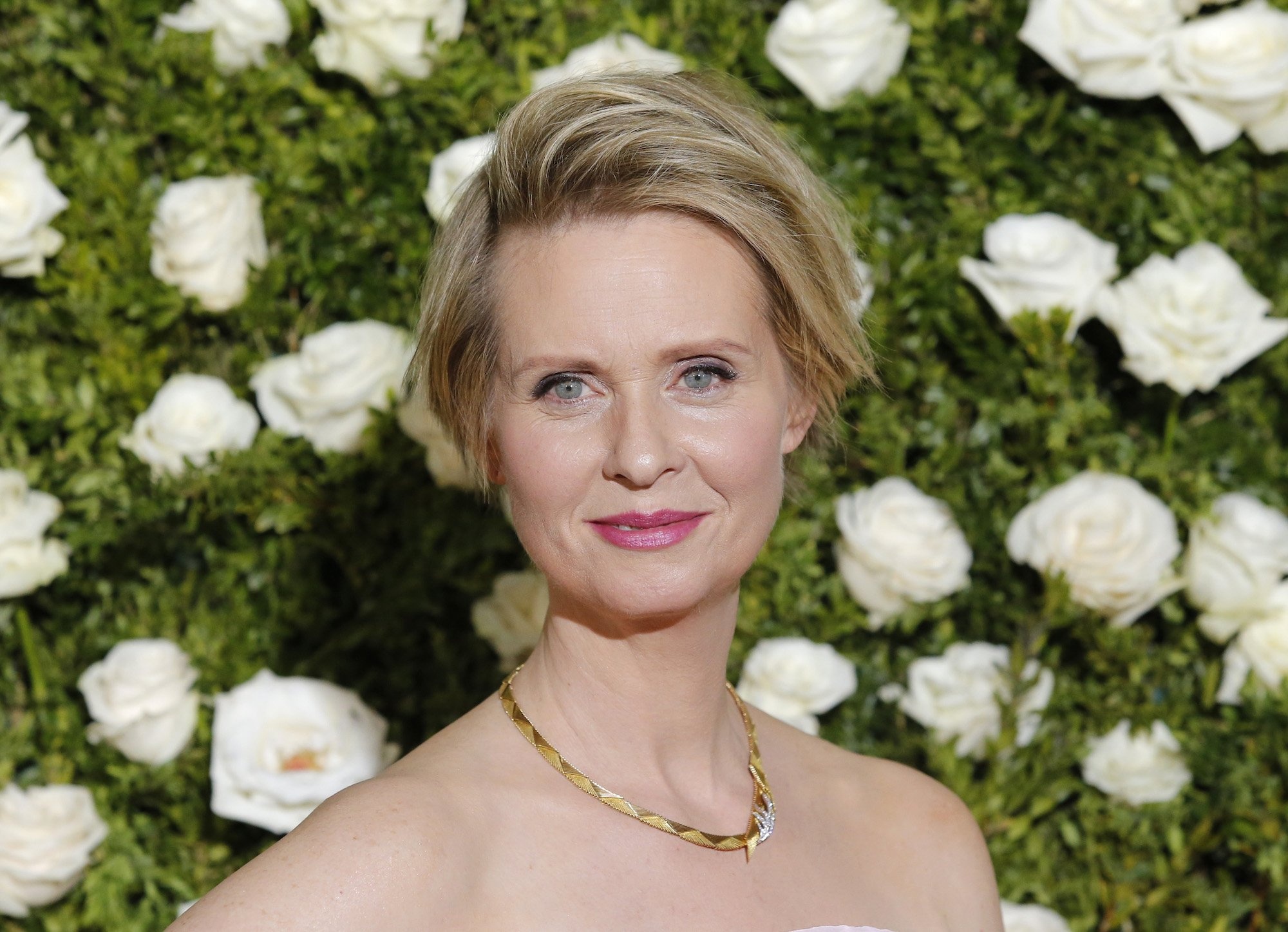 Cynthia Nixon, HD wallpaper, Background image, 2000x1450 HD Desktop