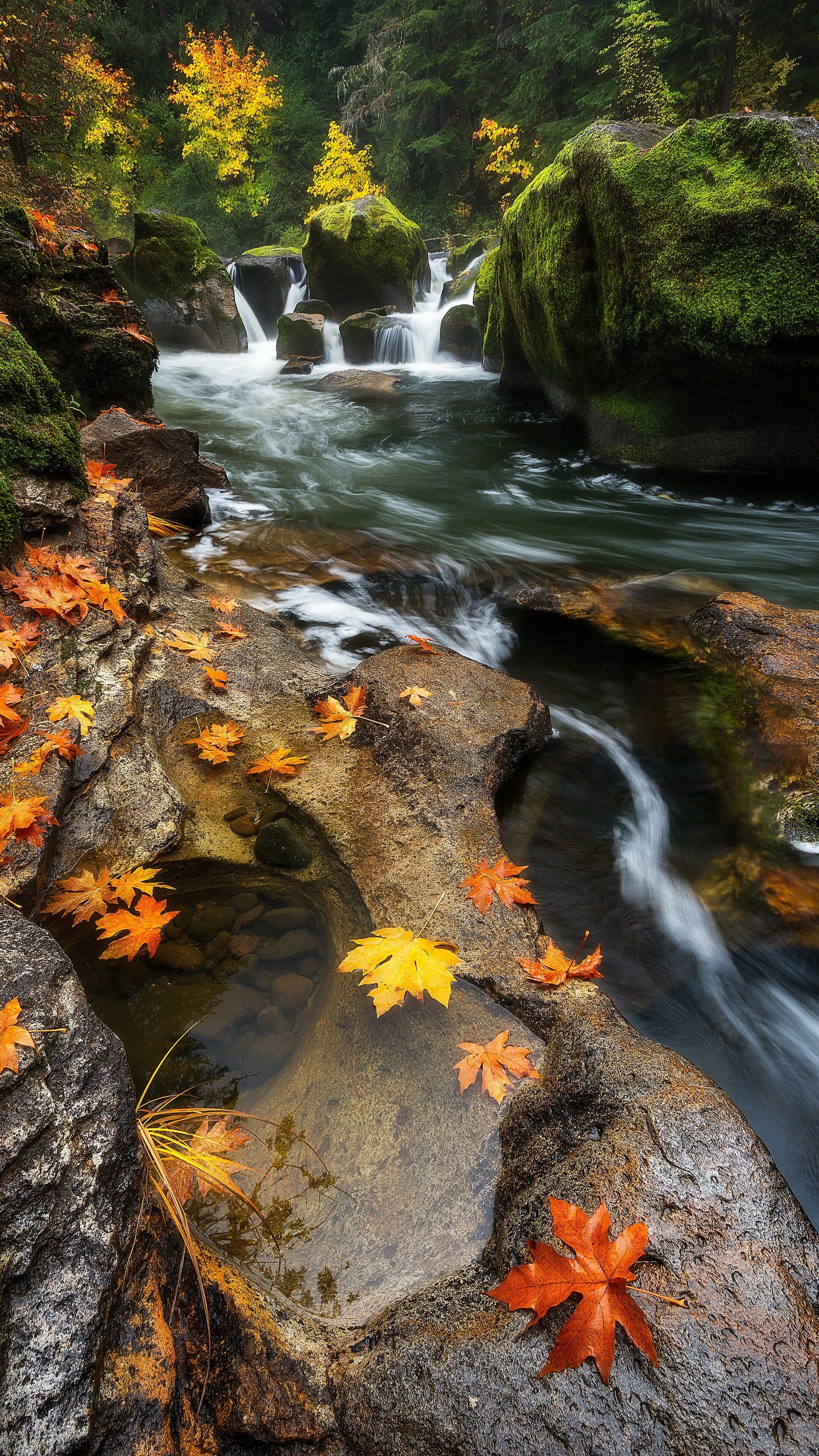 Waterfalls, Rivers Wallpaper, 2160x3840 4K Phone