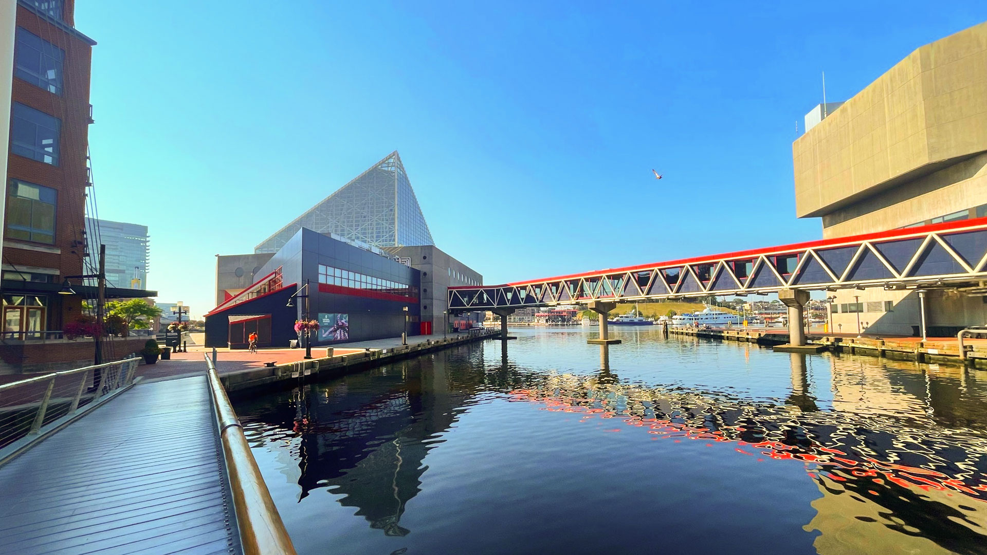 National Aquarium (Baltimore), Downtown Baltimore walks, Urban exploration, 1920x1080 Full HD Desktop