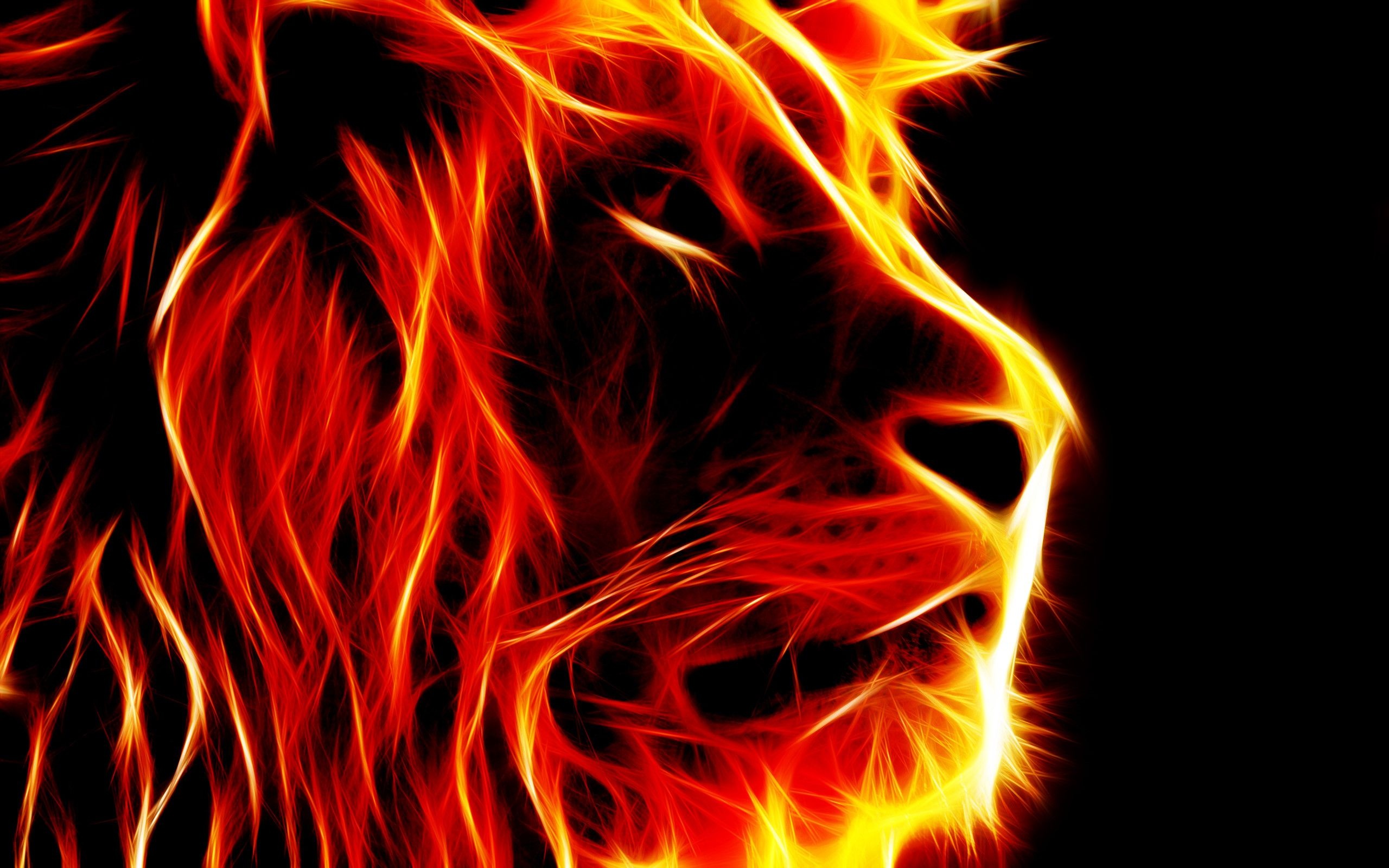 Cool 3D fire wallpapers, Dynamic flame patterns, Mesmerizing visuals, Fiery glow, Vibrant hues, 2560x1600 HD Desktop