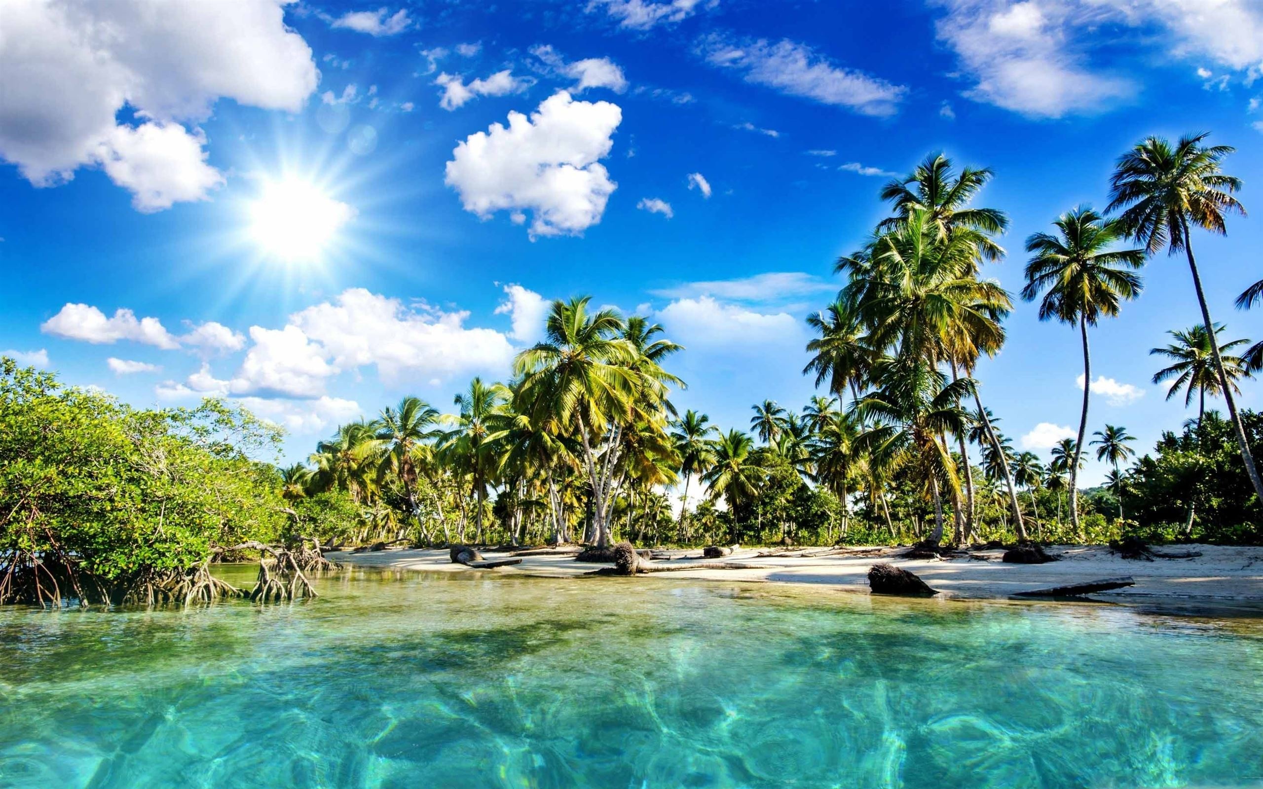 Tropical coconut palm grove, Clear turquoise lagoon water, Sunburst in blue sky, HD Desktop wallpaper