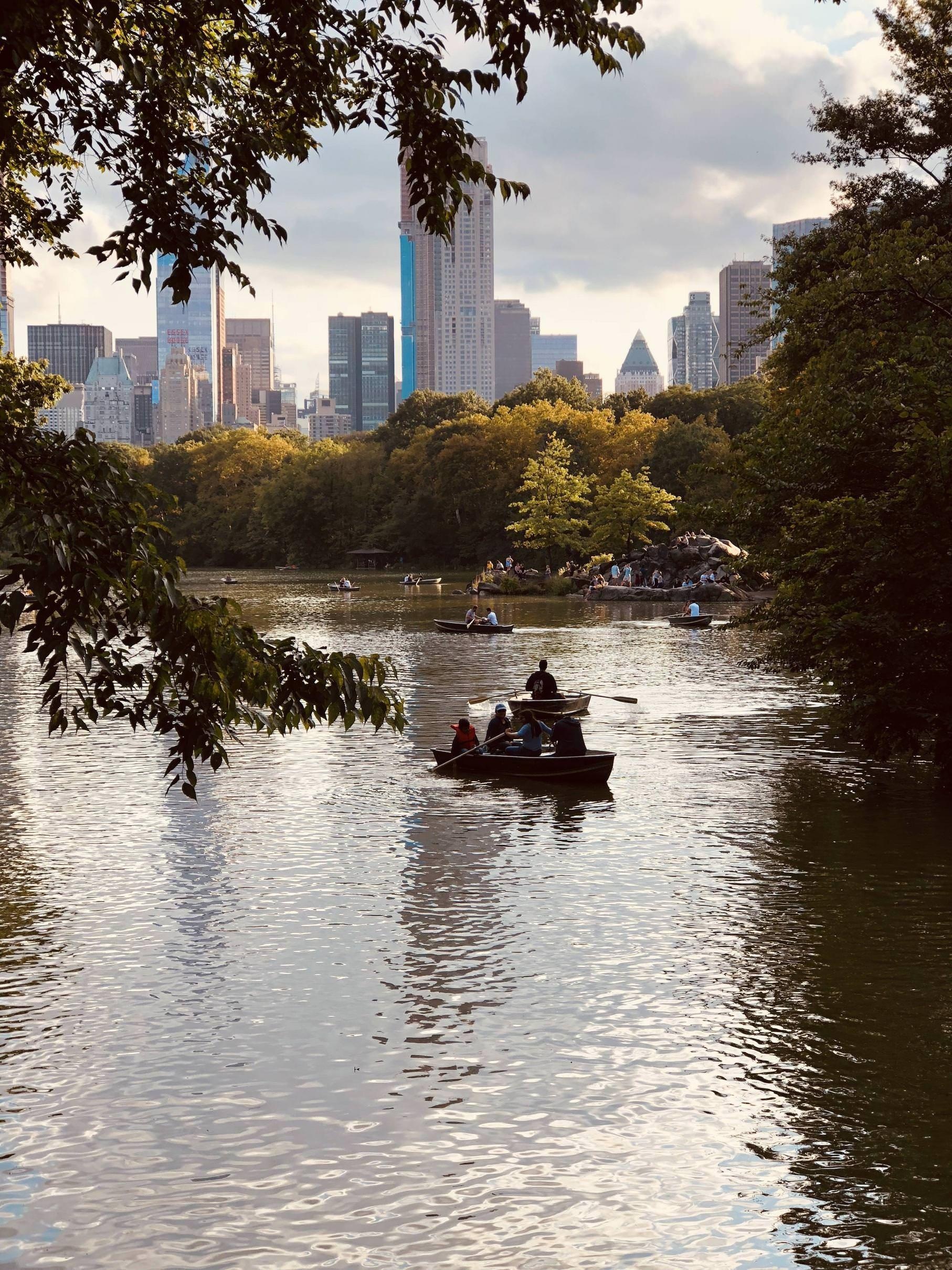 Central Park, Android wallpapers, 1820x2420 HD Phone