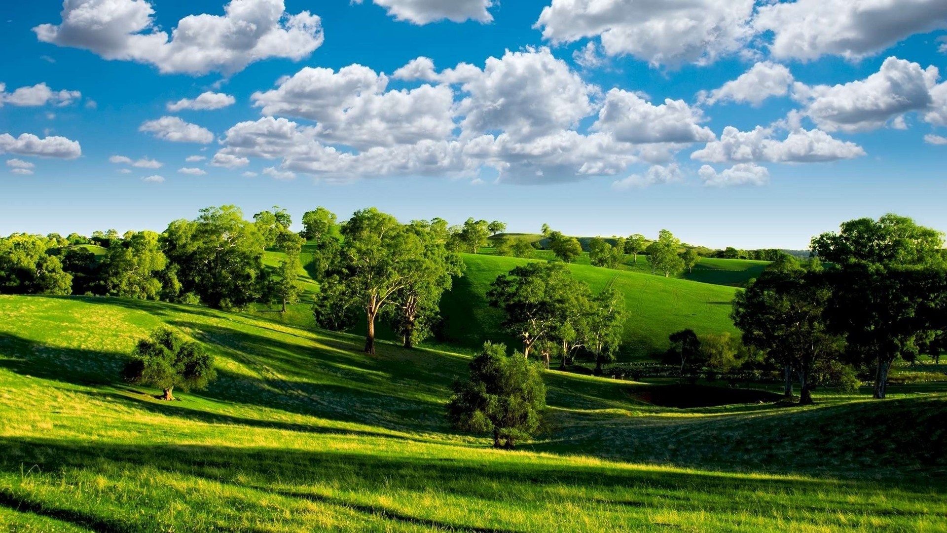 rolling green hills, trees casting long shadows, blue sky cumulus clouds, Full HD Desktop wallpaper