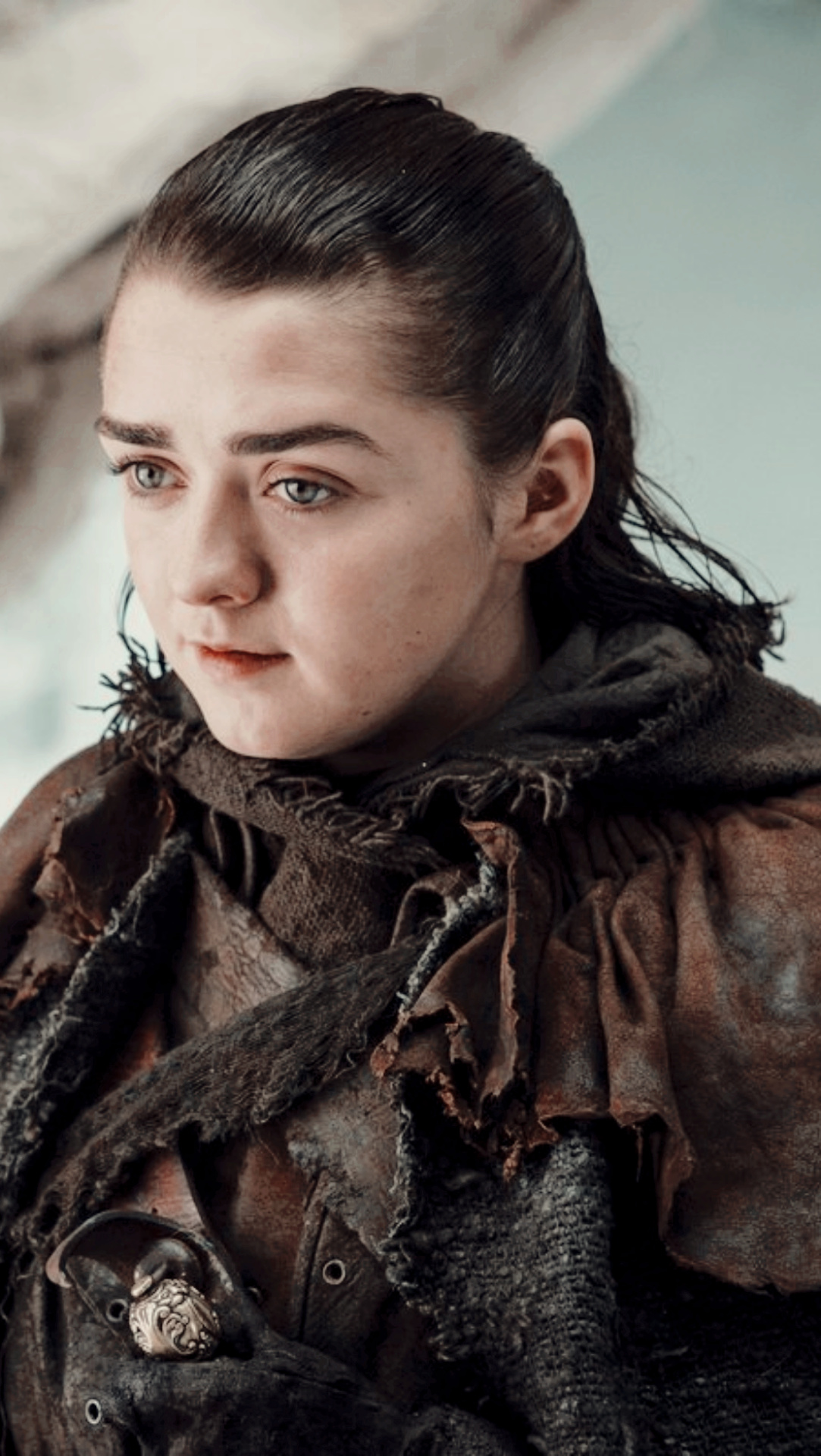 Arya Stark, Like or Reblog, 1090x1920 HD Phone